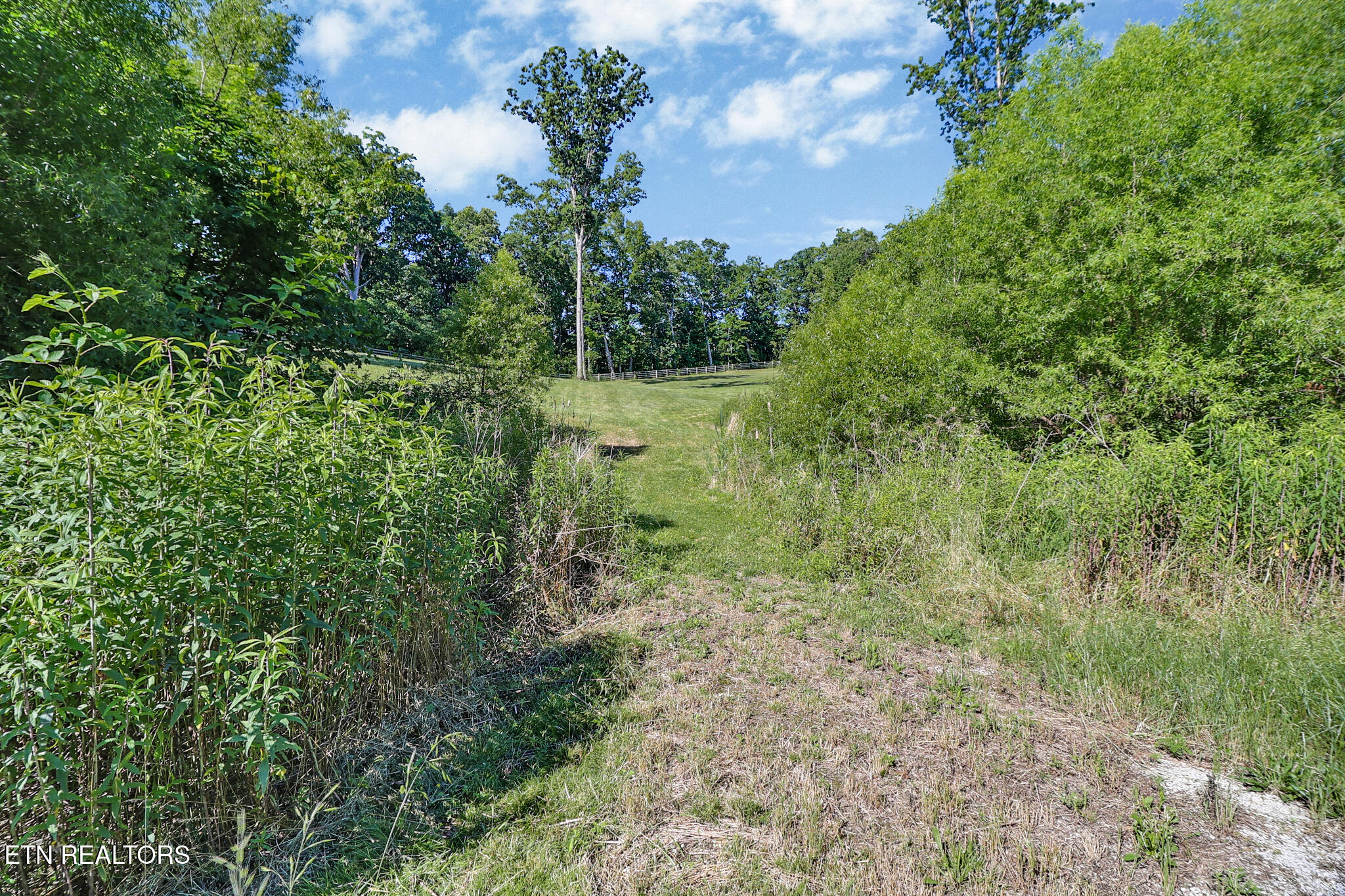 101 Duncan Hinds Road Jamestown TN 38556