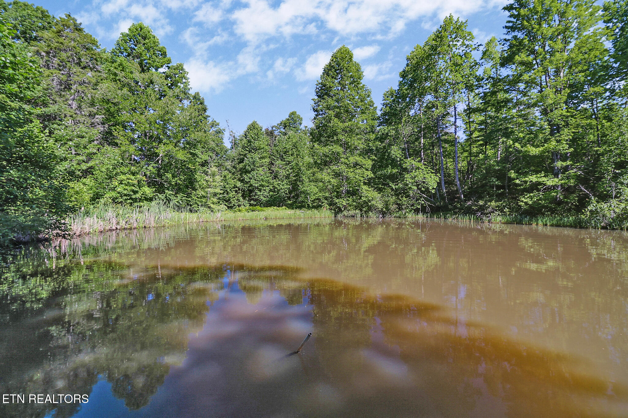 101 Duncan Hinds Road Jamestown TN 38556