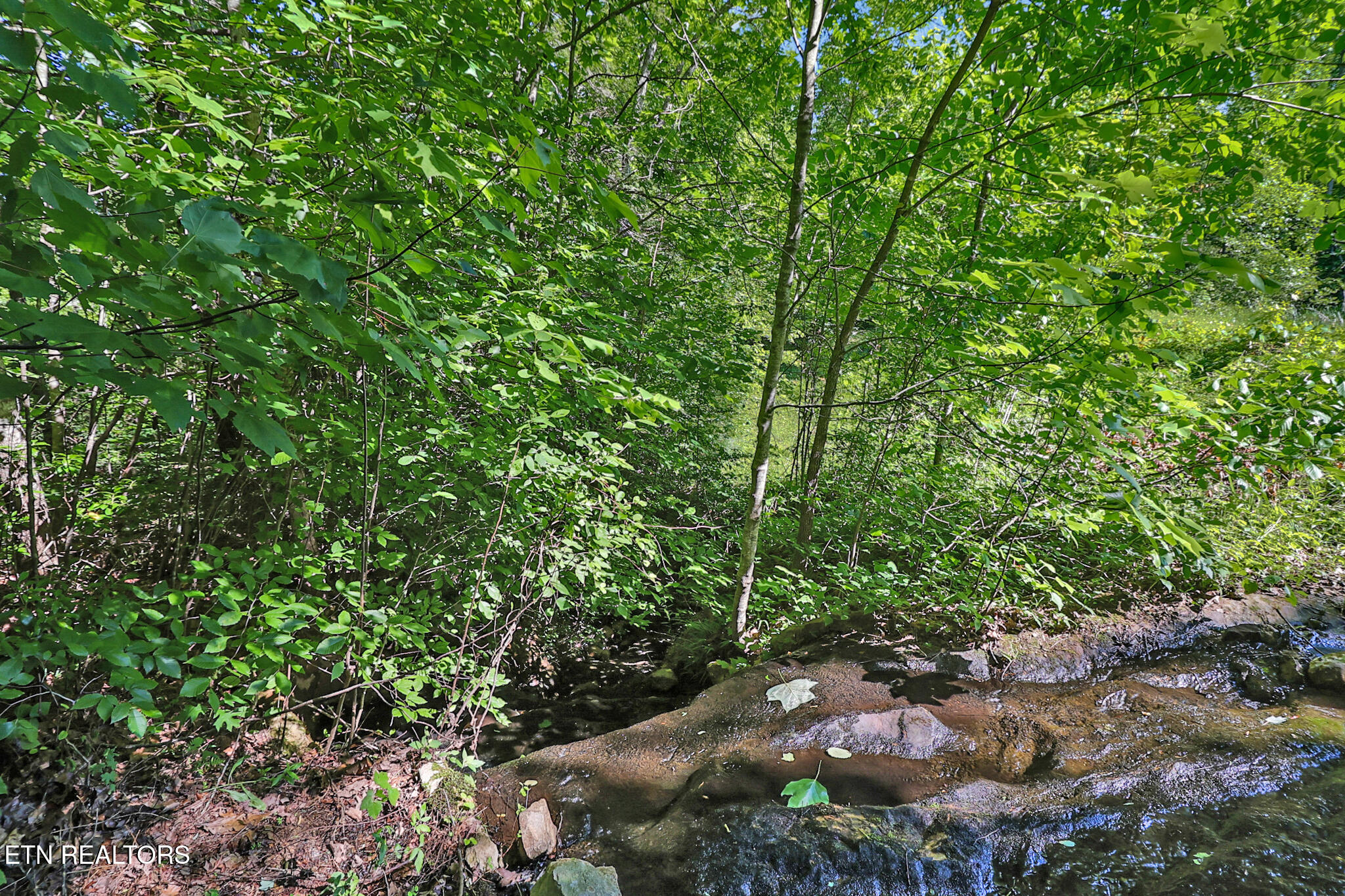 101 Duncan Hinds Road Jamestown TN 38556