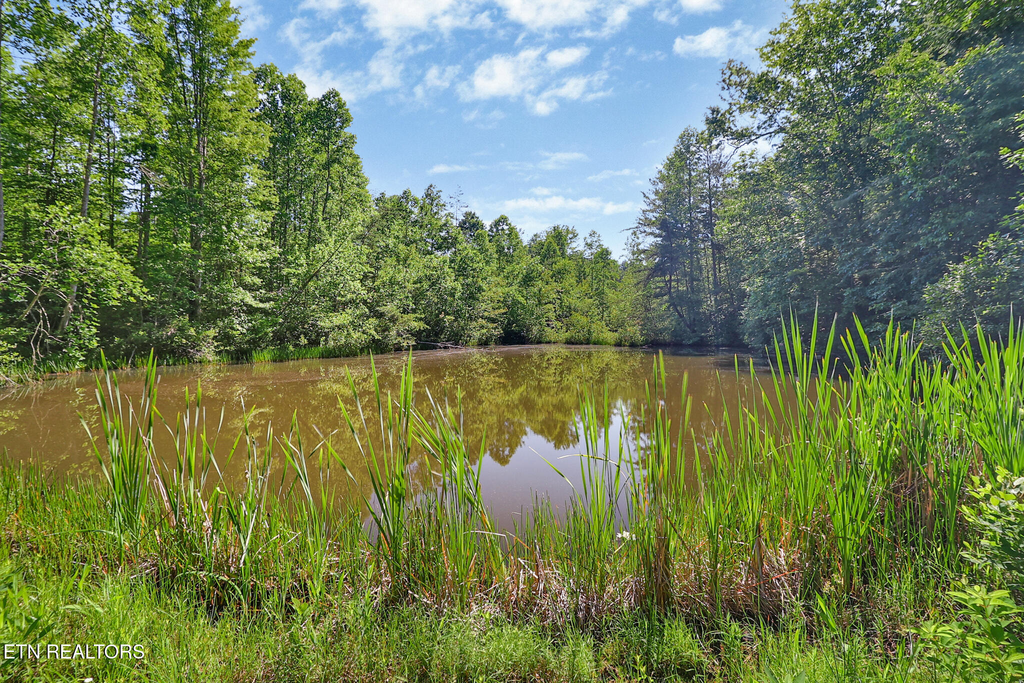 101 Duncan Hinds Road Jamestown TN 38556
