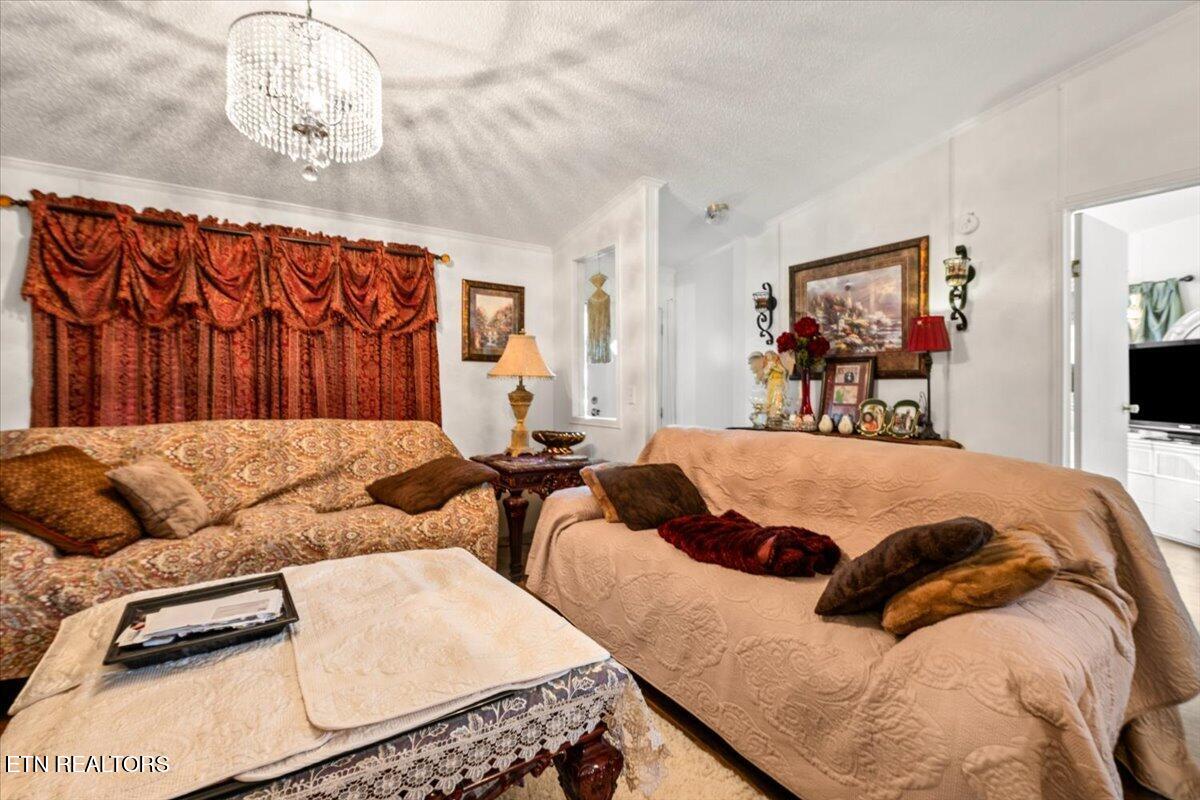 171 E Memorial Drive Jacksboro TN 37757