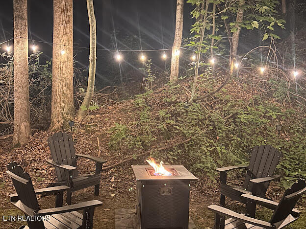 3303 Shagbark Hickory Sevierville TN 37862
