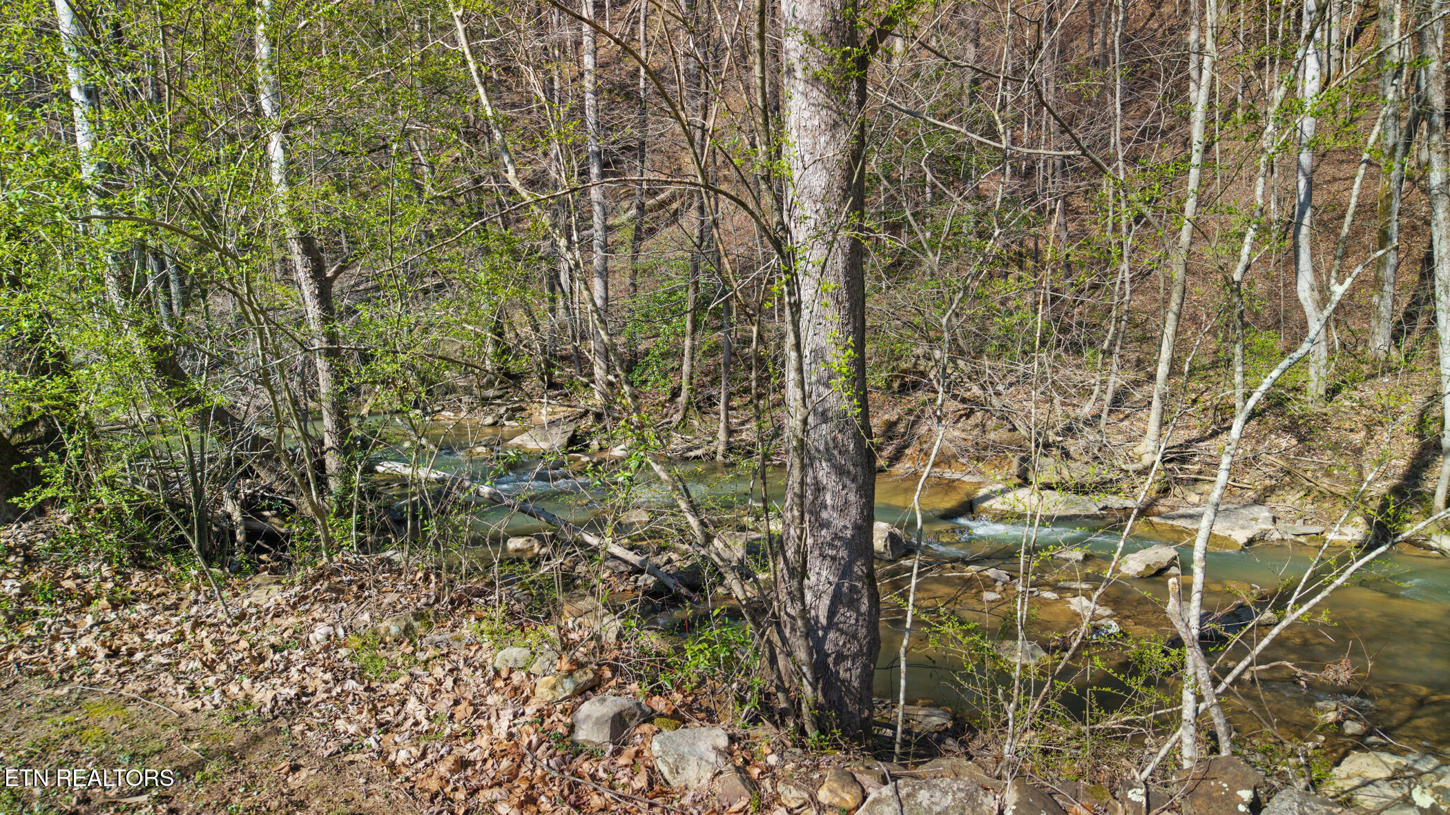 1020 Cox Circle Oliver Springs TN 37840