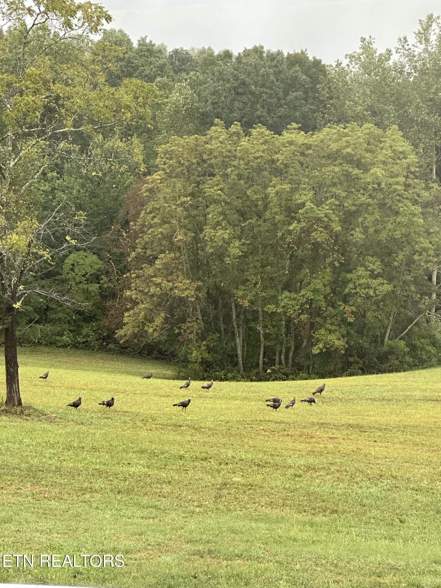 447 Walker Road Sharps Chapel TN 37866
