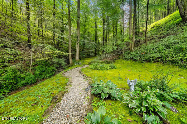 3127 Emerald Springs Loop Sevierville TN 37862