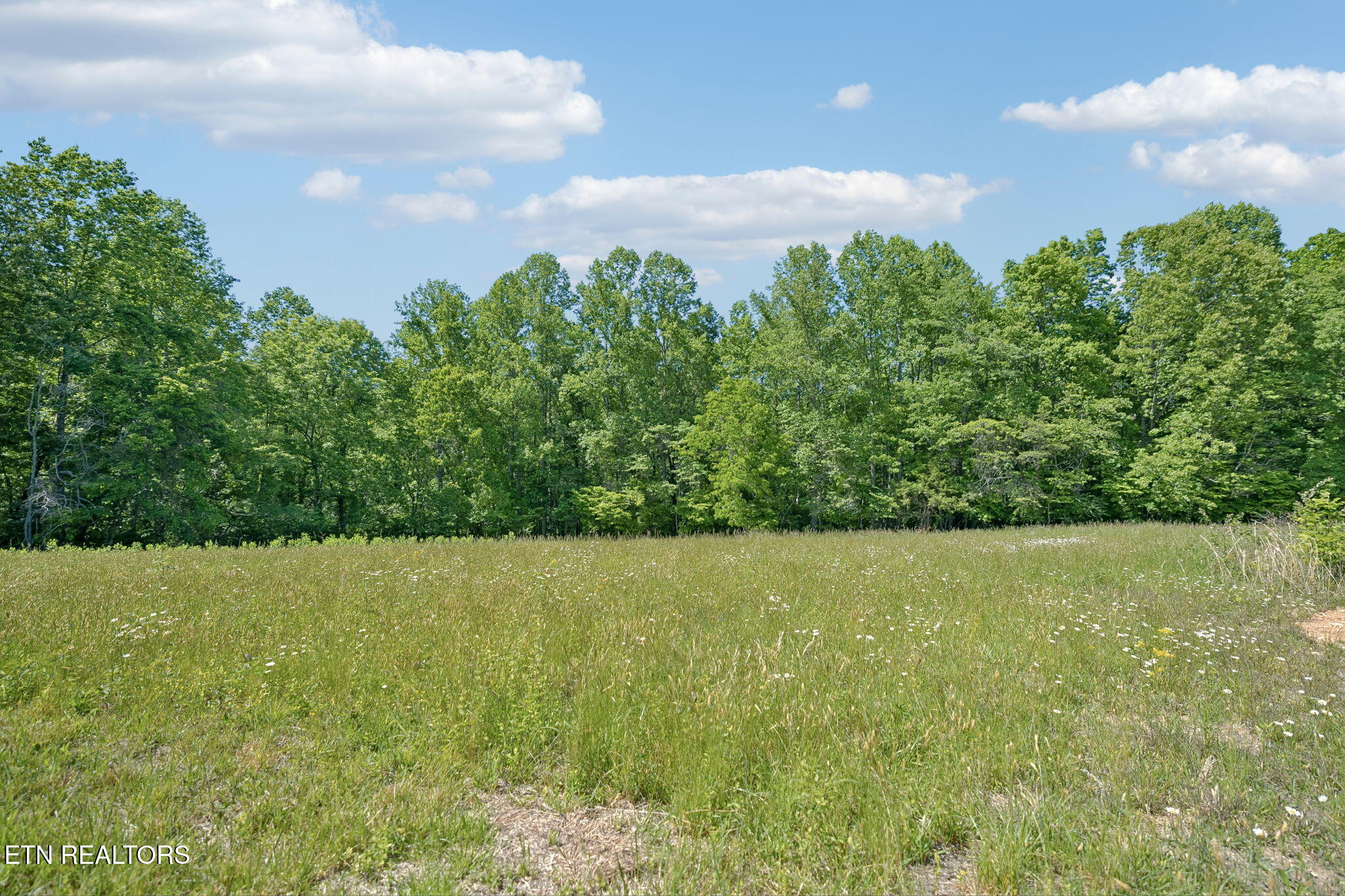 2245 Pinecrest Road Jacksboro TN 37757