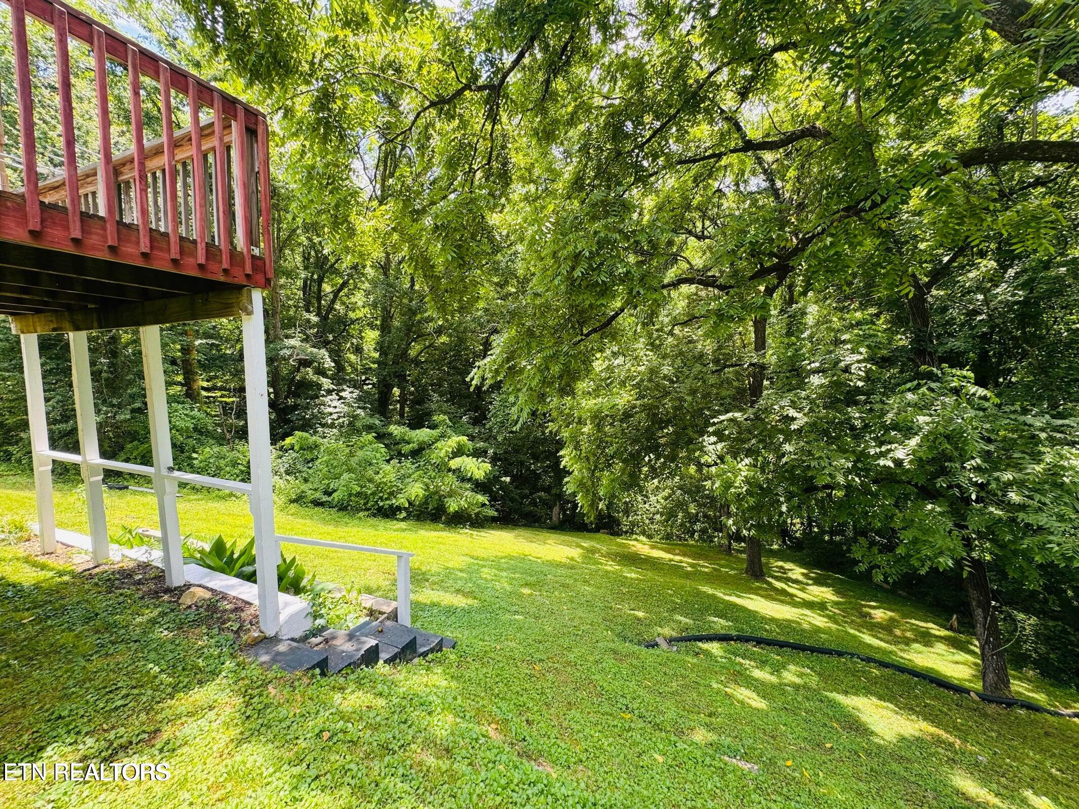 681 Island Cove Road Rocky Top TN 37769