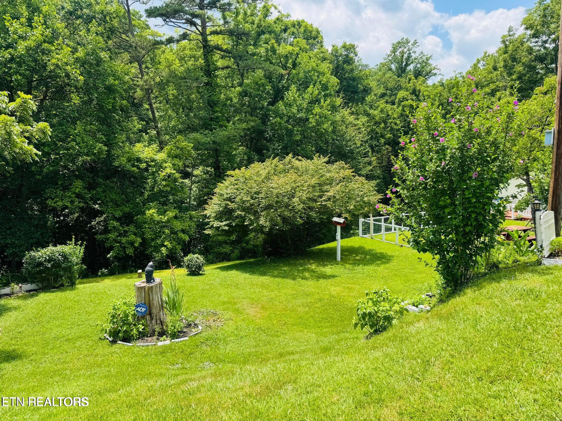 681 Island Cove Road Rocky Top TN 37769
