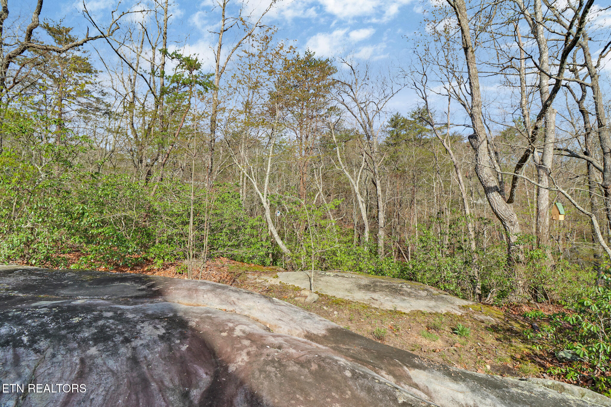 17 Leinster Court Fairfield Glade TN 38558