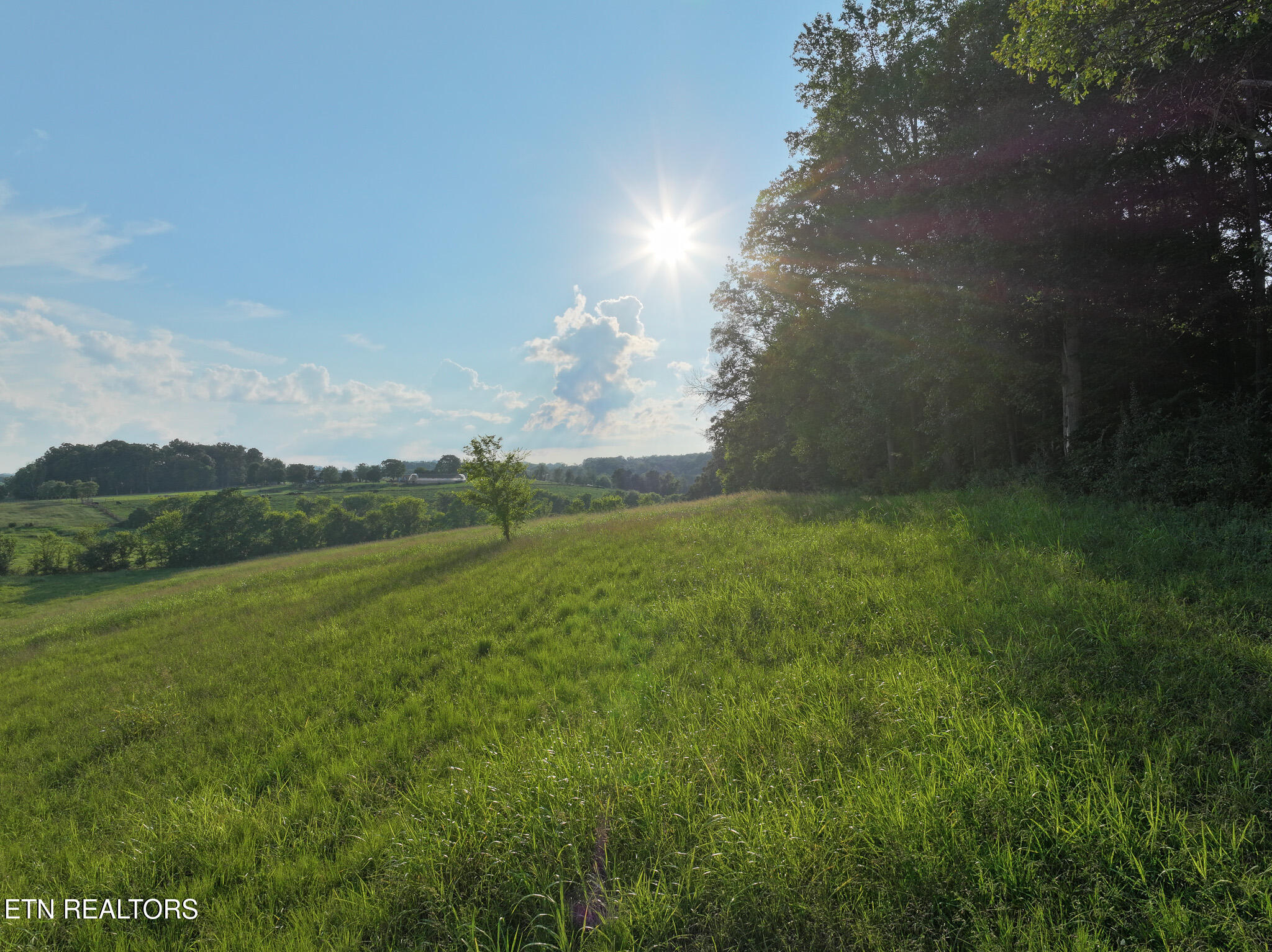 2409 Valley Home Road Talbott TN 37877