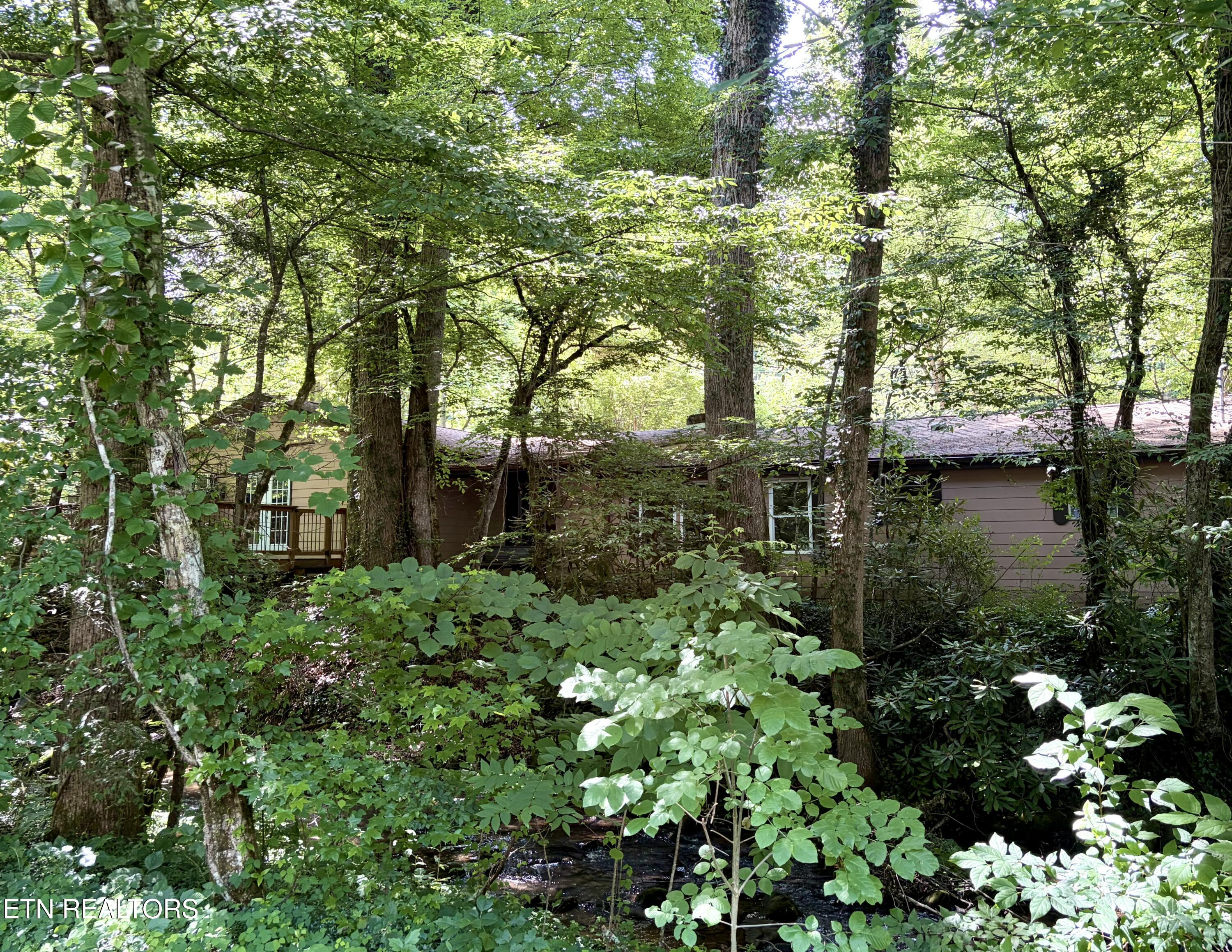 4413 E Scenic Drive Gatlinburg TN 37738