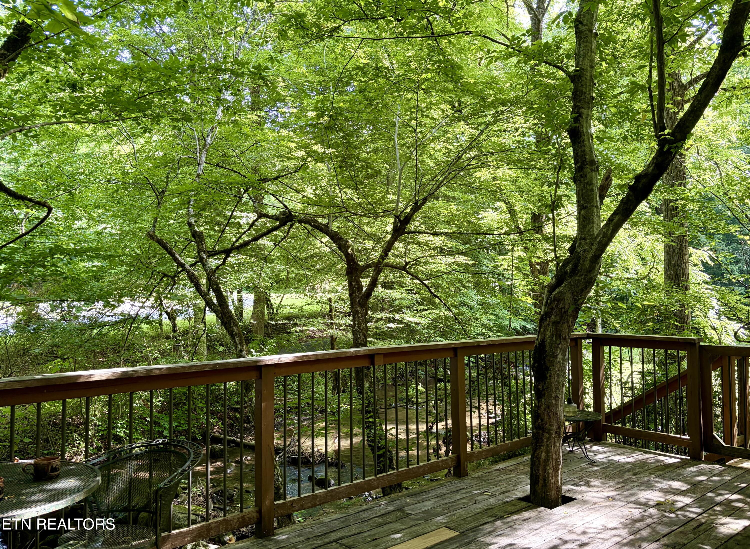 4413 E Scenic Drive Gatlinburg TN 37738