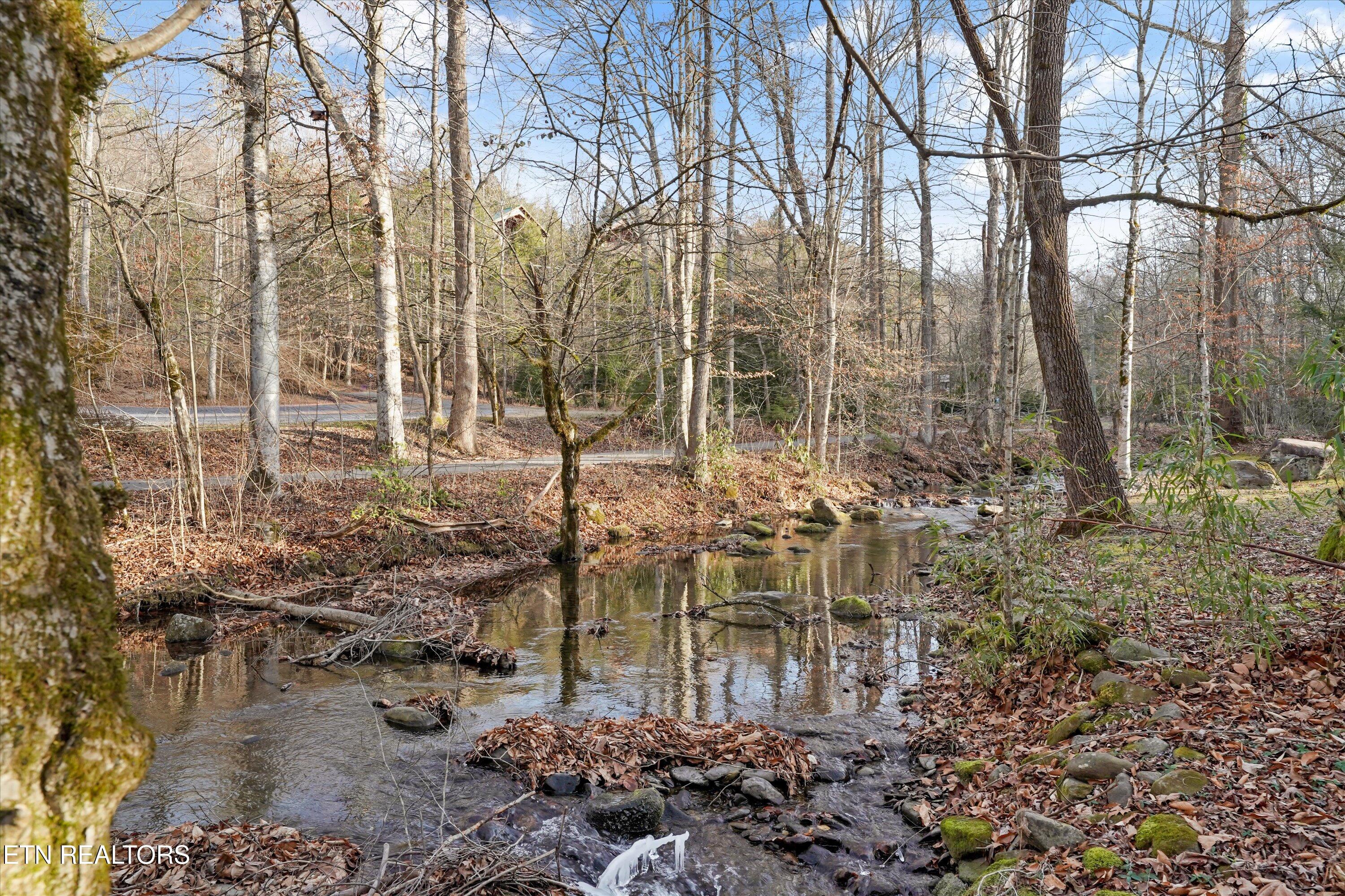 4413 E Scenic Drive Gatlinburg TN 37738