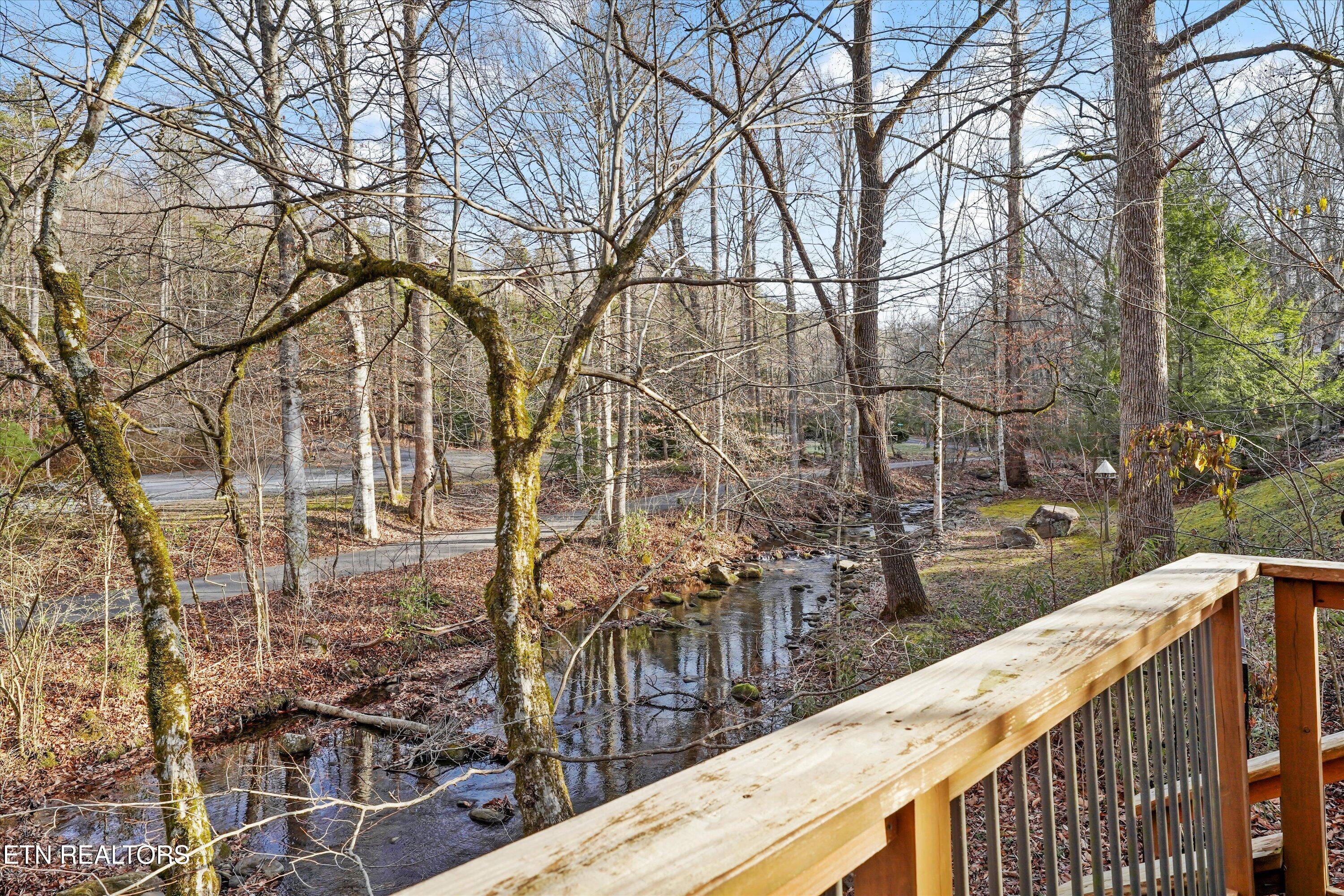 4413 E Scenic Drive Gatlinburg TN 37738