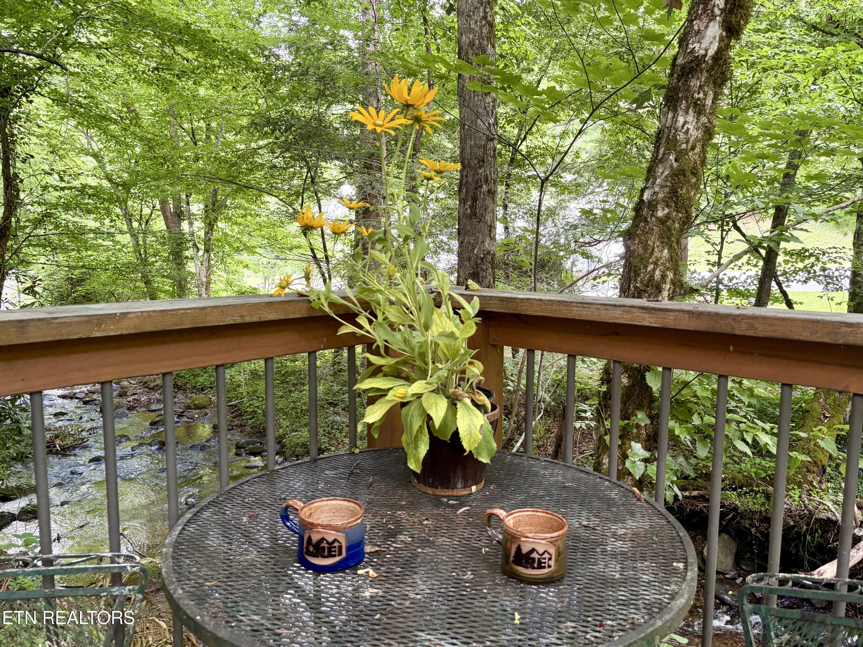 4413 E Scenic Drive Gatlinburg TN 37738