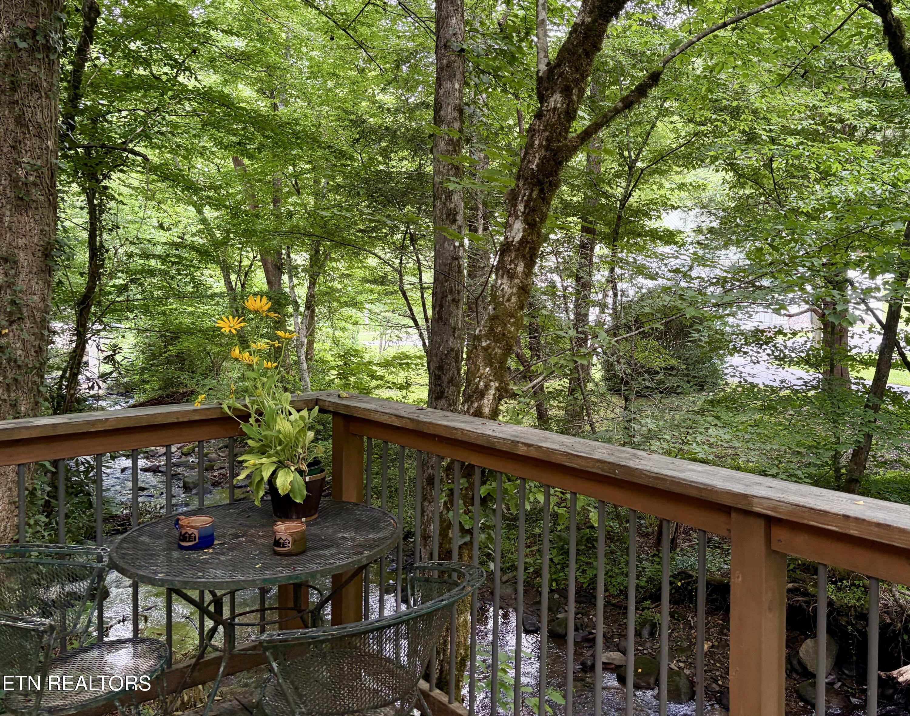 4413 E Scenic Drive Gatlinburg TN 37738