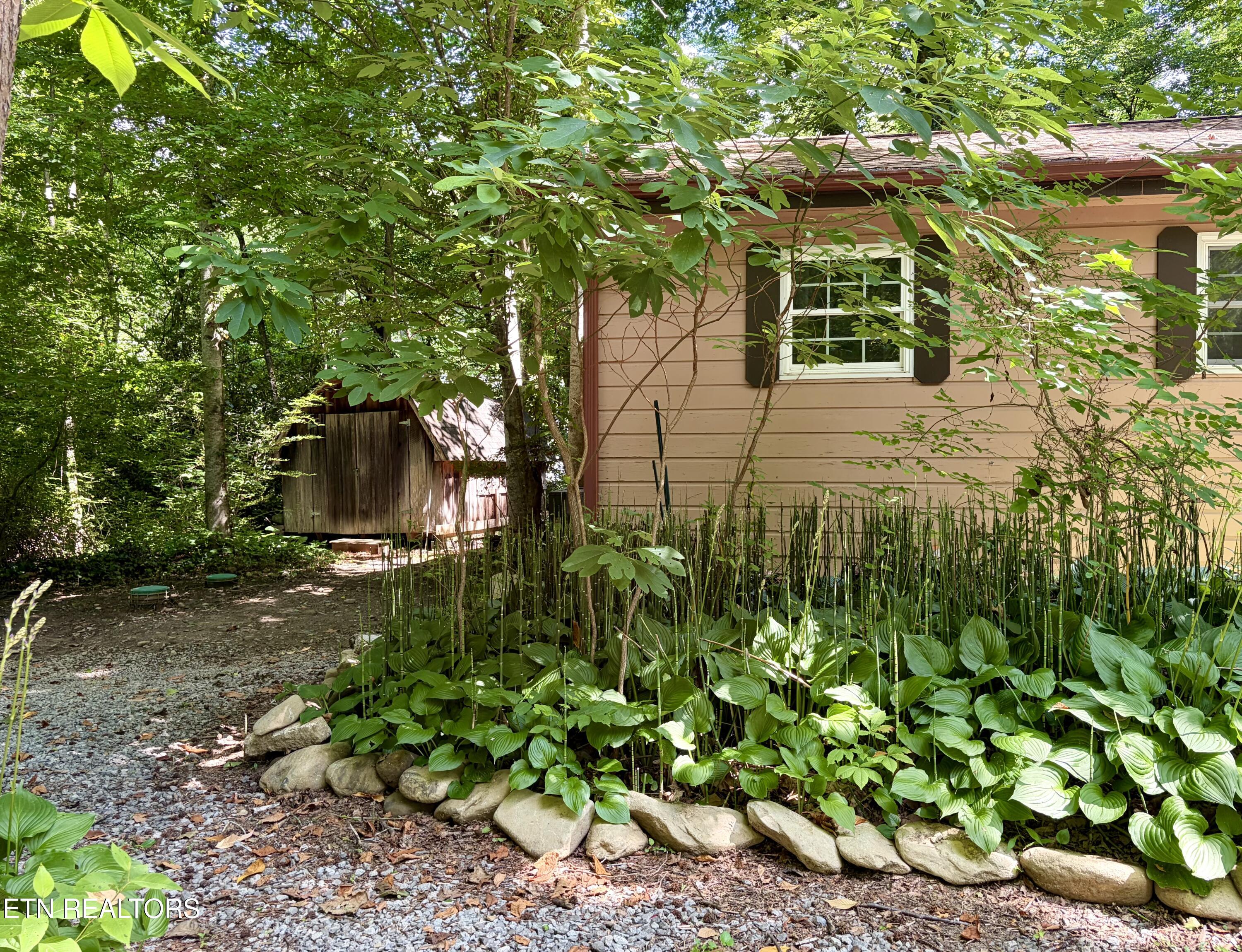 4413 E Scenic Drive Gatlinburg TN 37738