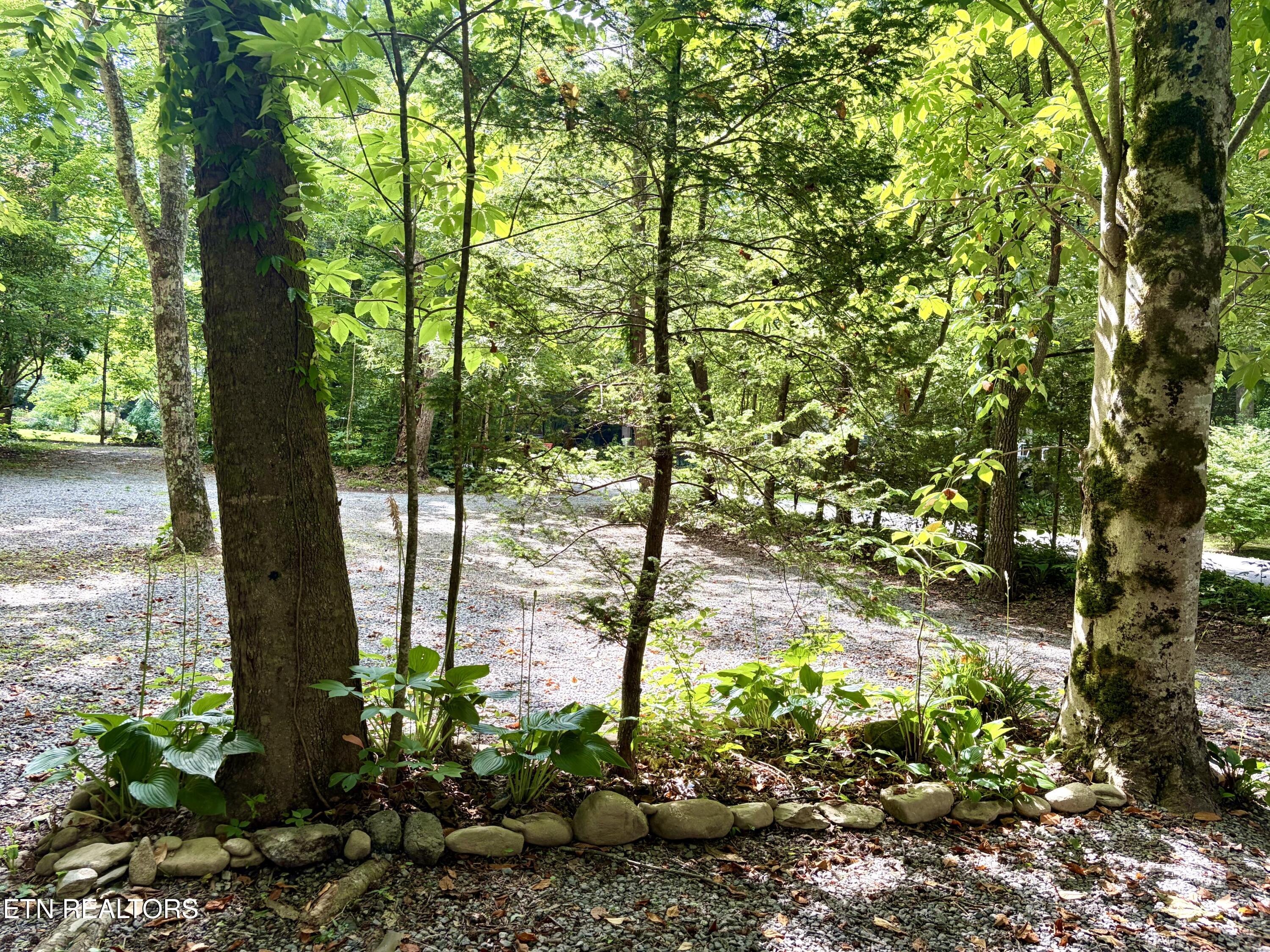 4413 E Scenic Drive Gatlinburg TN 37738