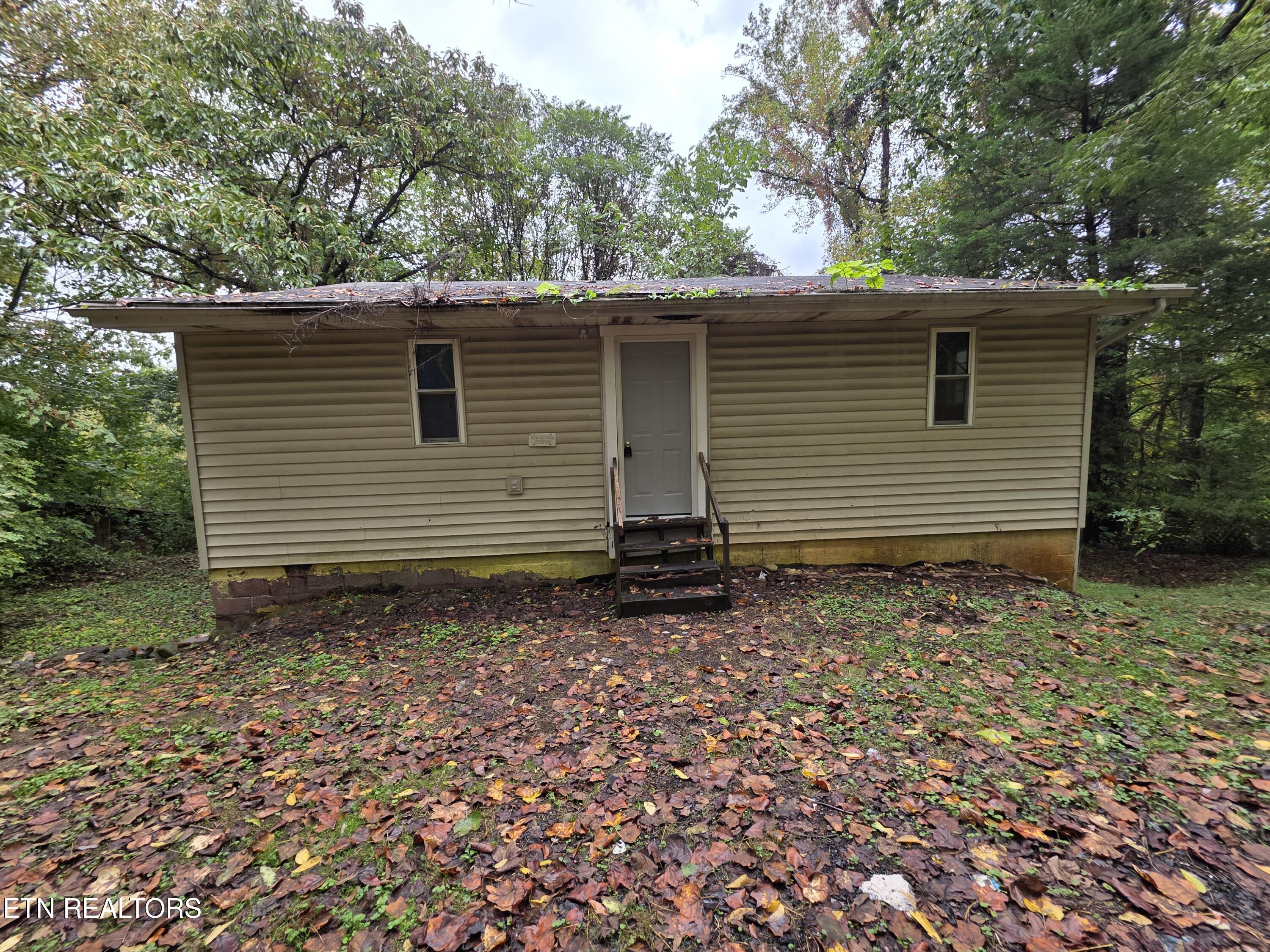 141 White Lane Caryville TN 37714