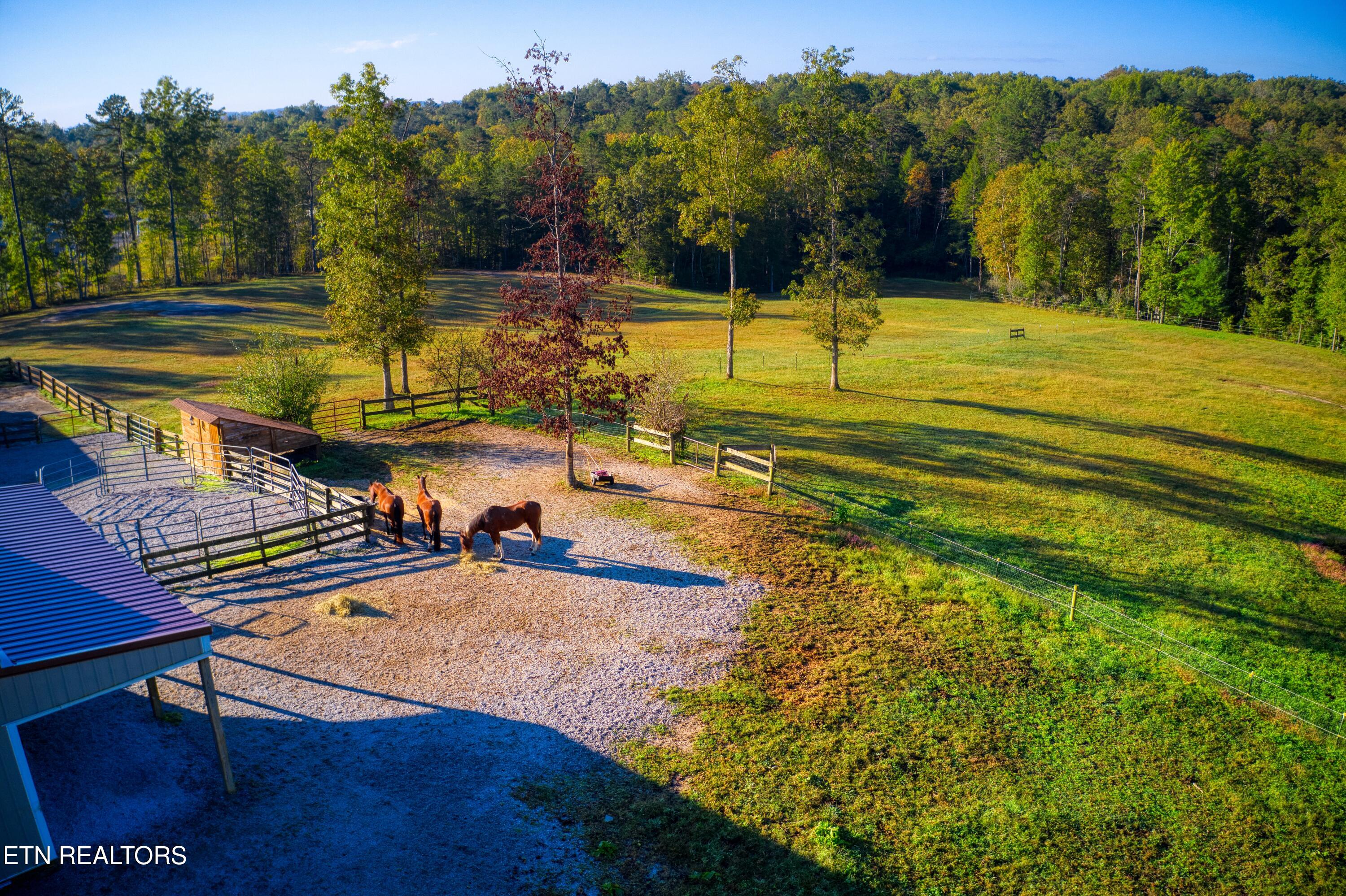 642 Buck Ridge Road Jamestown TN 38556