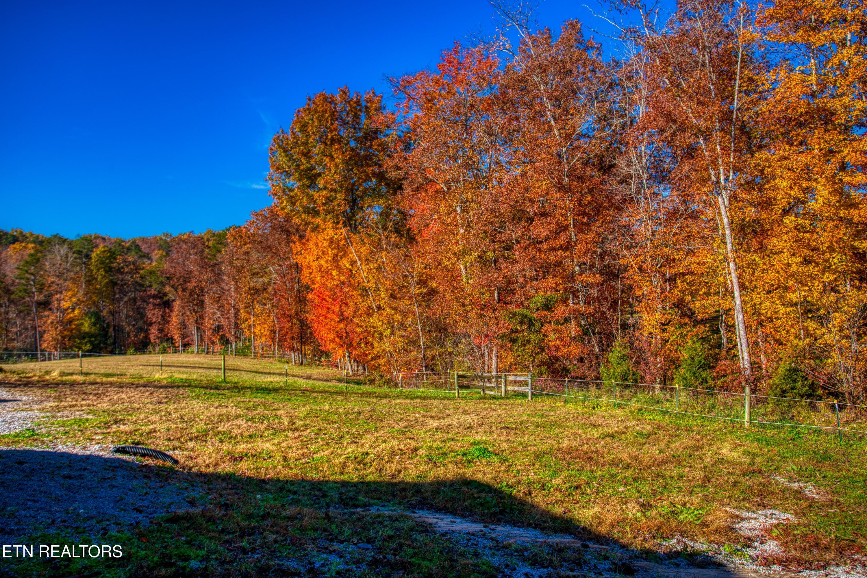 642 Buck Ridge Road Jamestown TN 38556