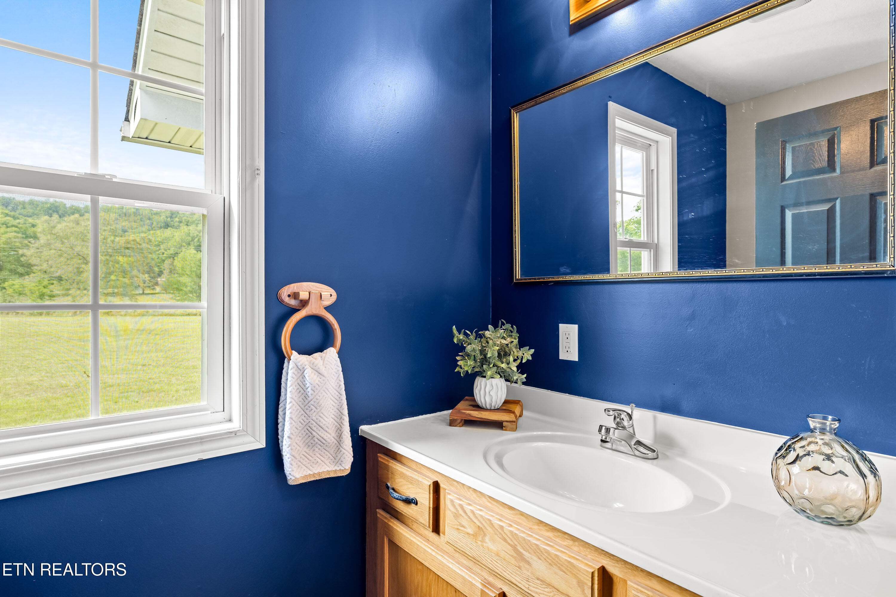 1038 Reagan Valley Road Tellico Plains TN 37385