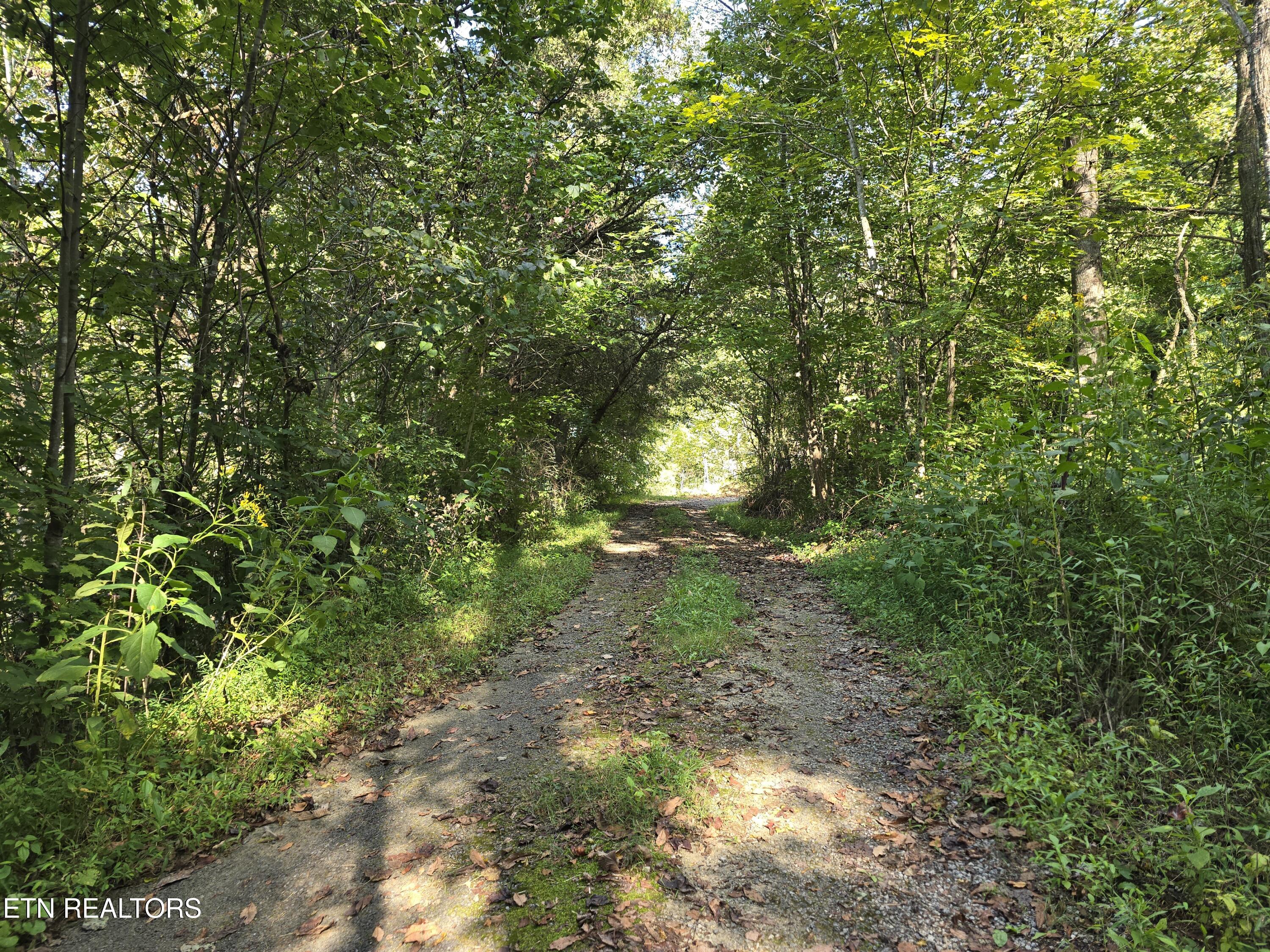 170 Parker Road Eidson TN 37731