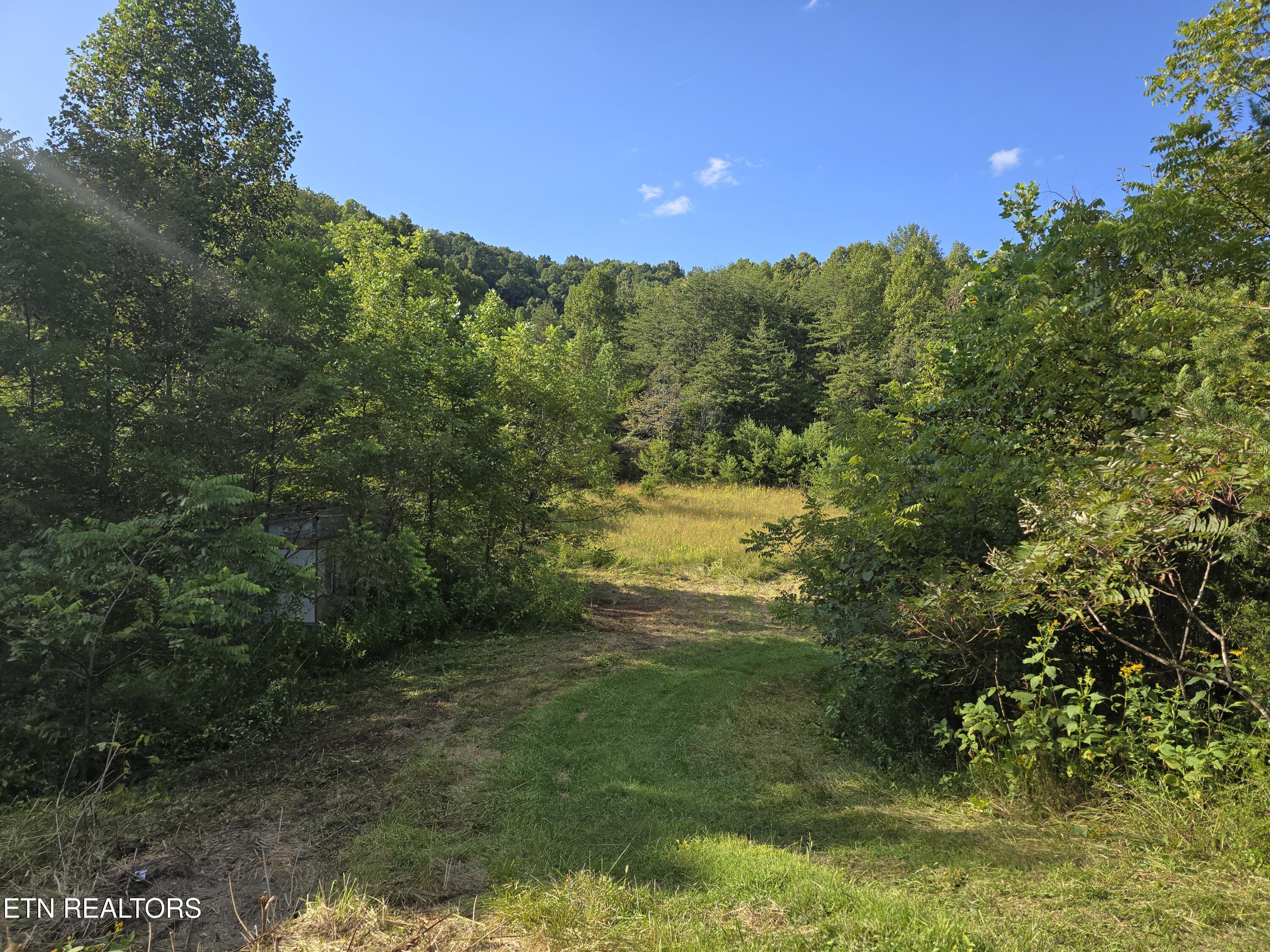 170 Parker Road Eidson TN 37731