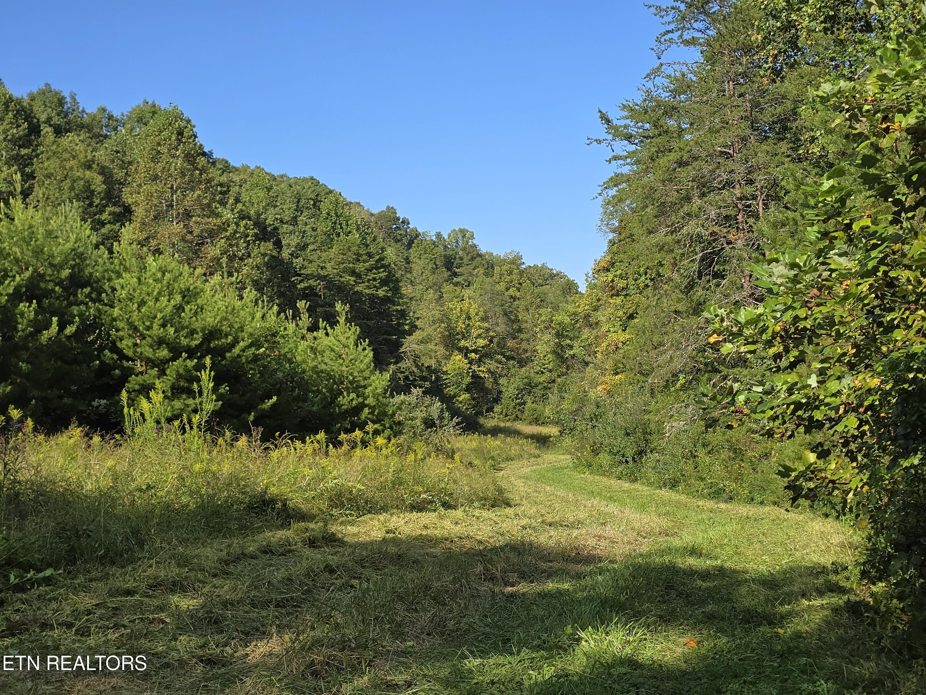 170 Parker Road Eidson TN 37731