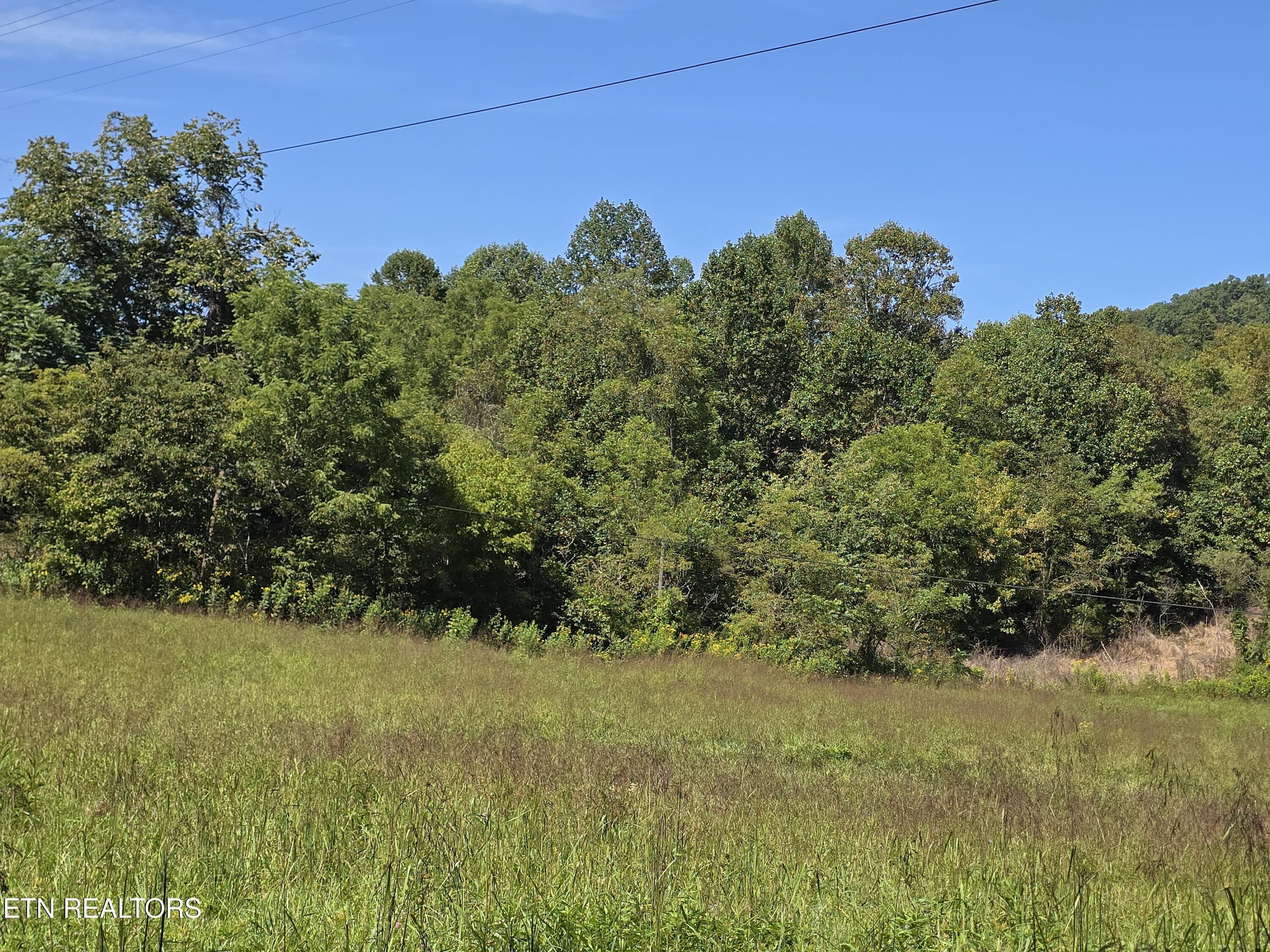 170 Parker Road Eidson TN 37731