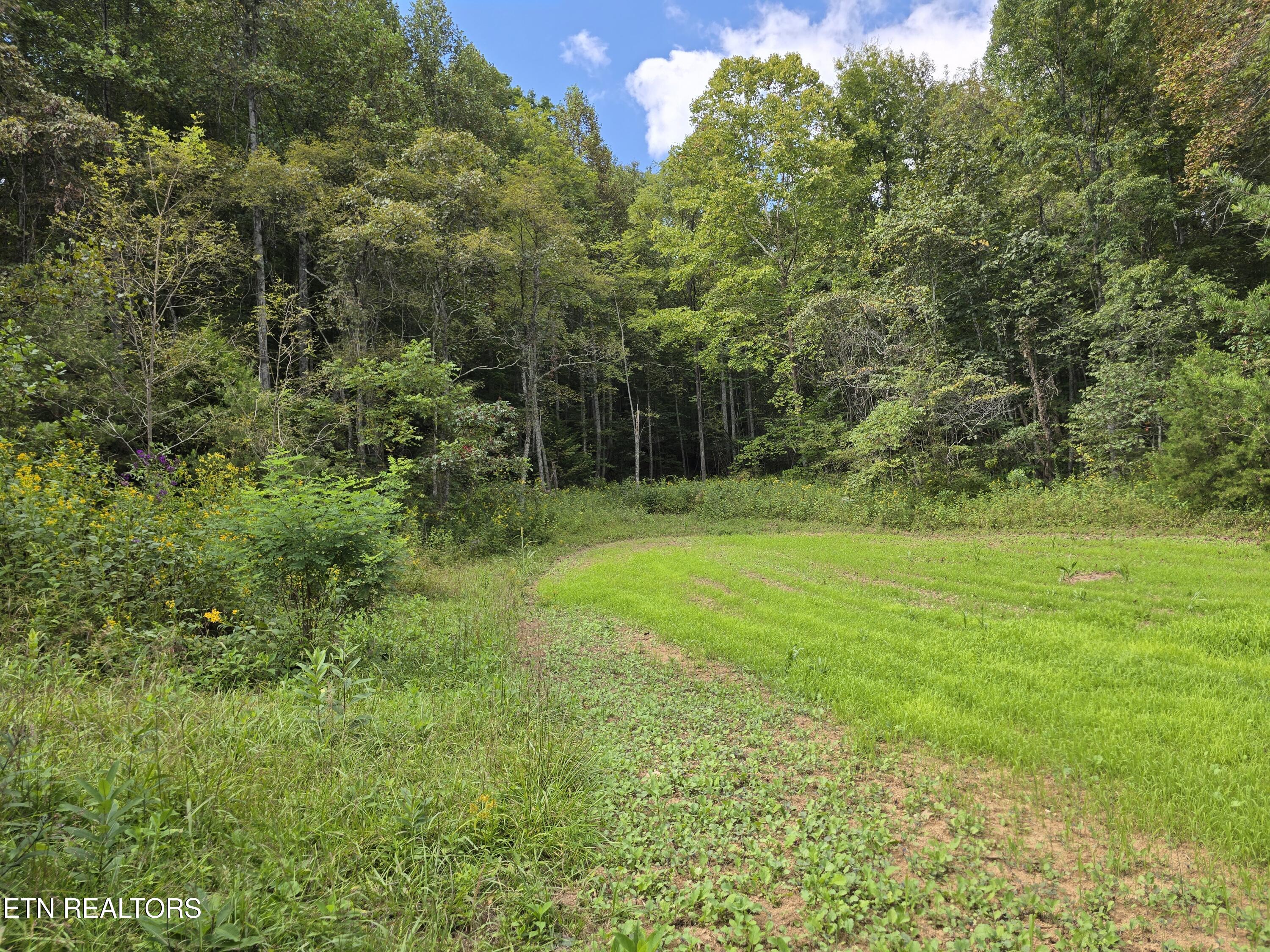 170 Parker Road Eidson TN 37731