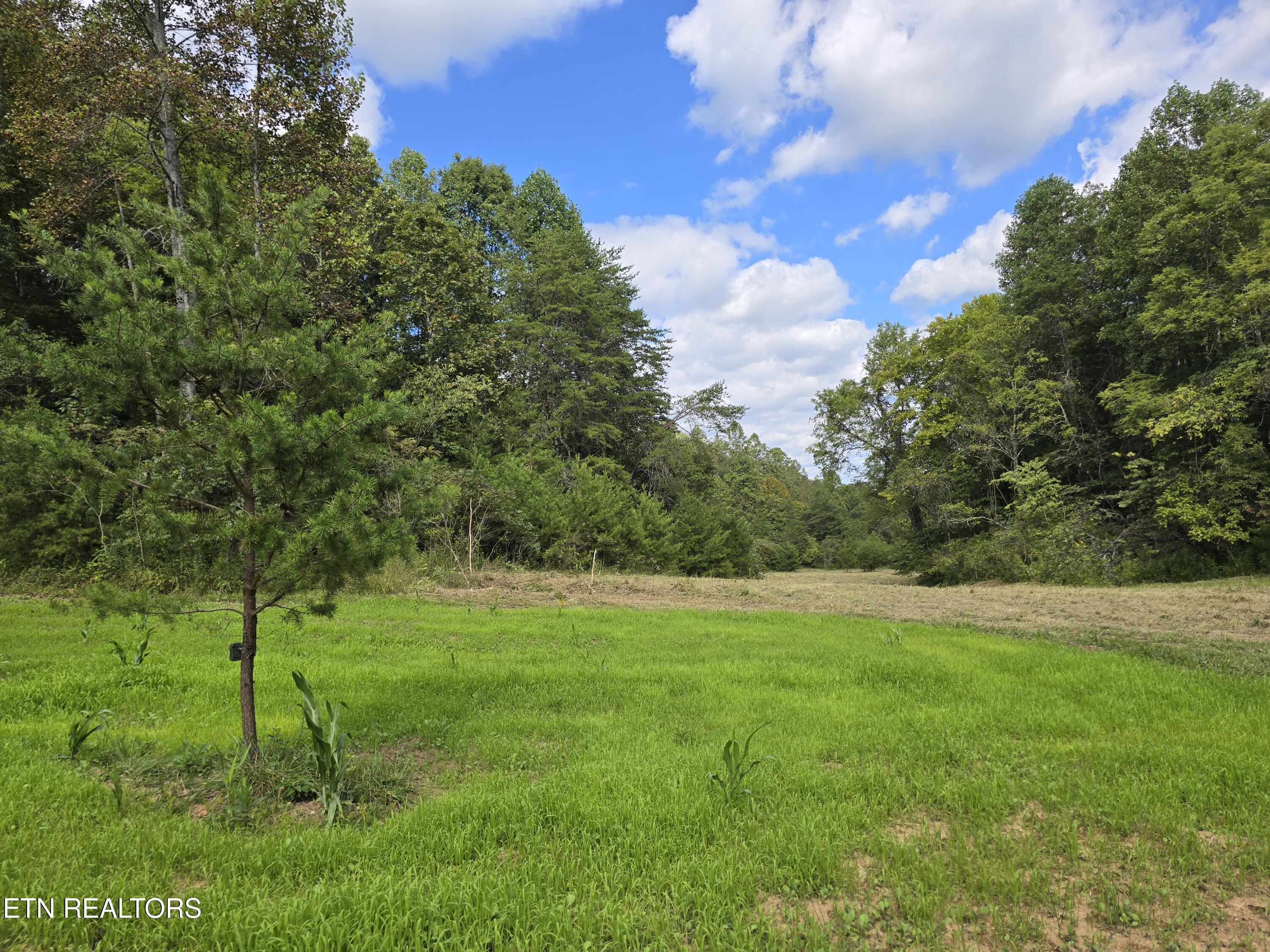 170 Parker Road Eidson TN 37731