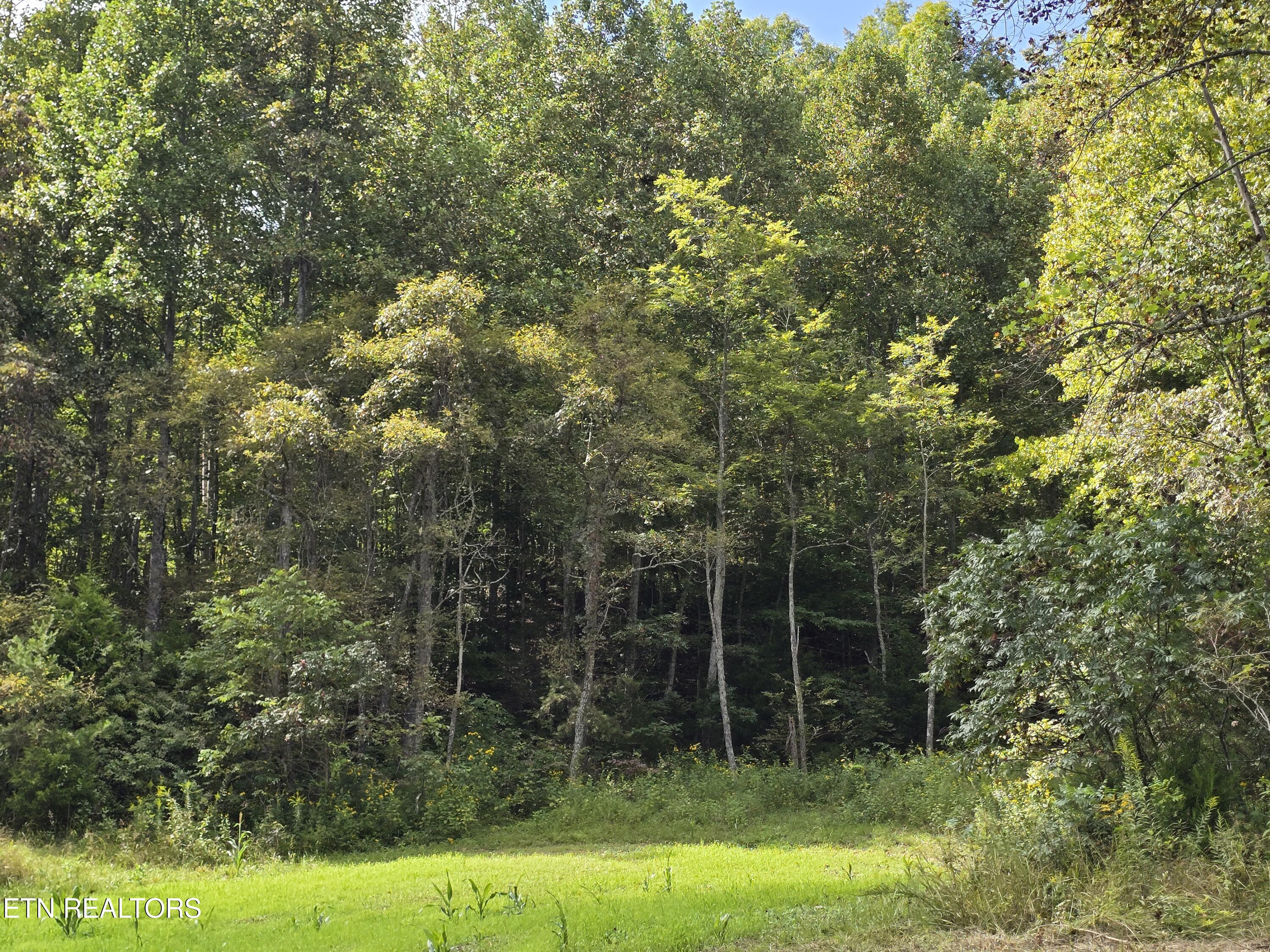 170 Parker Road Eidson TN 37731