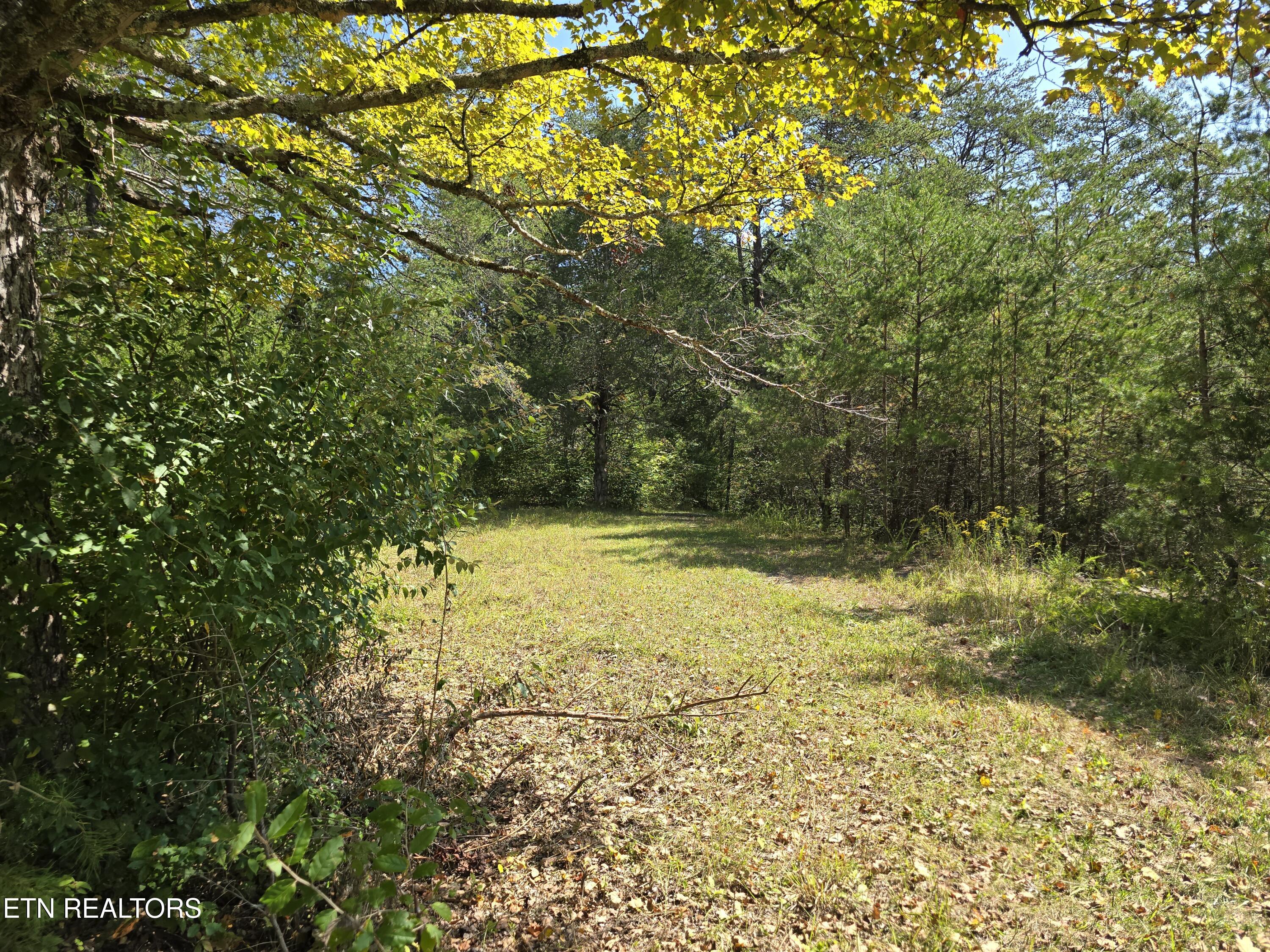 170 Parker Road Eidson TN 37731