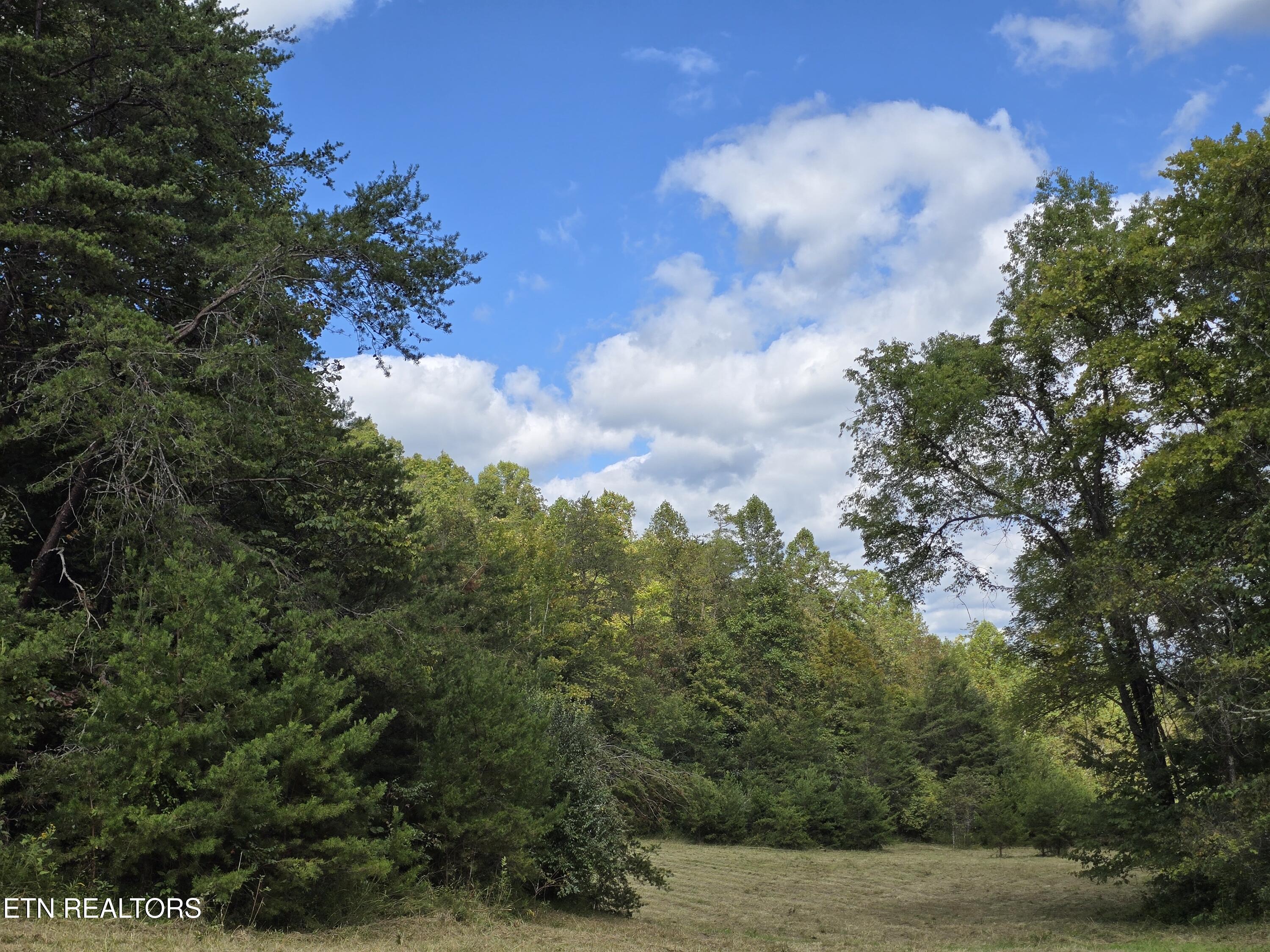 170 Parker Road Eidson TN 37731
