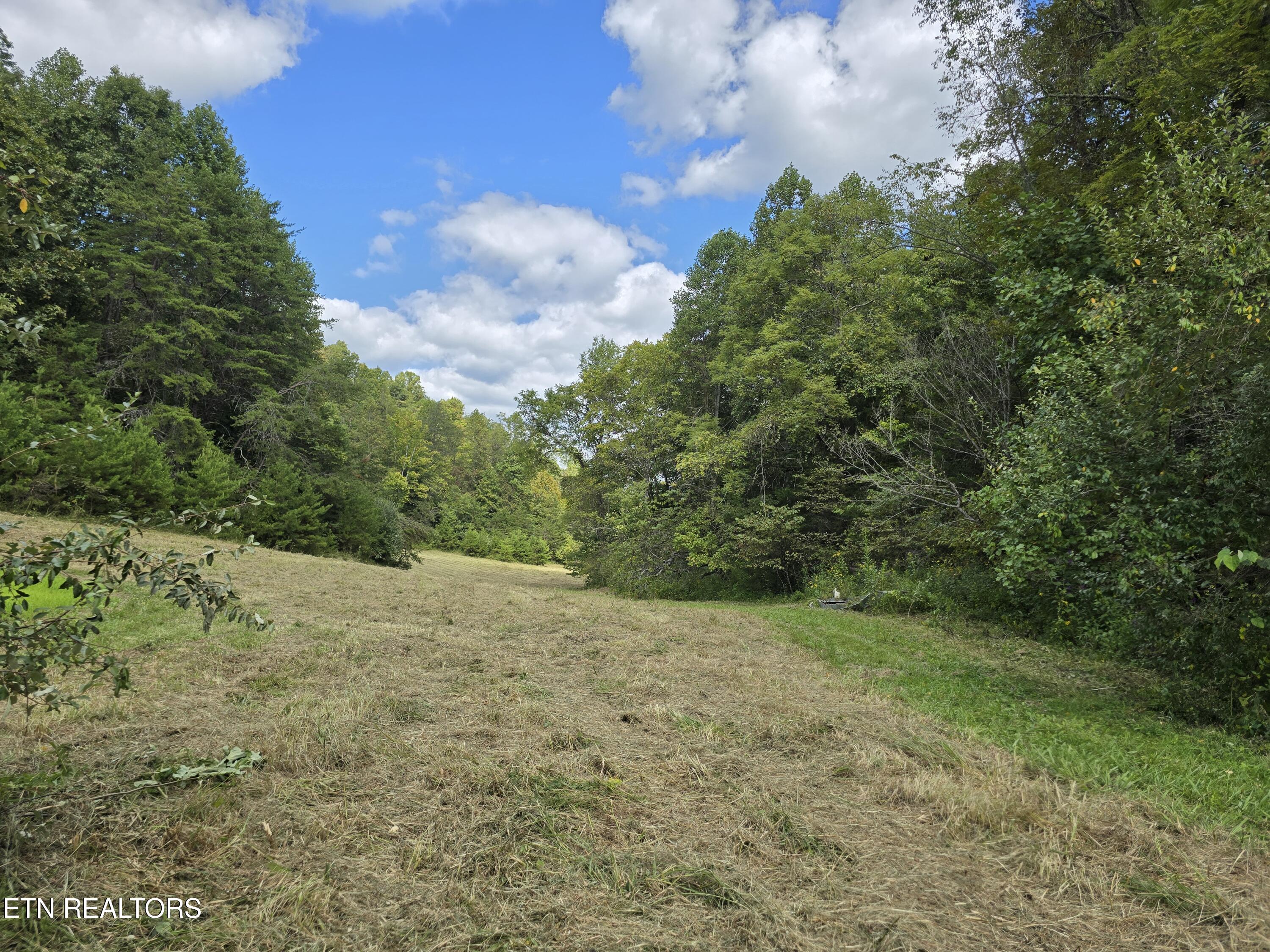 170 Parker Road Eidson TN 37731