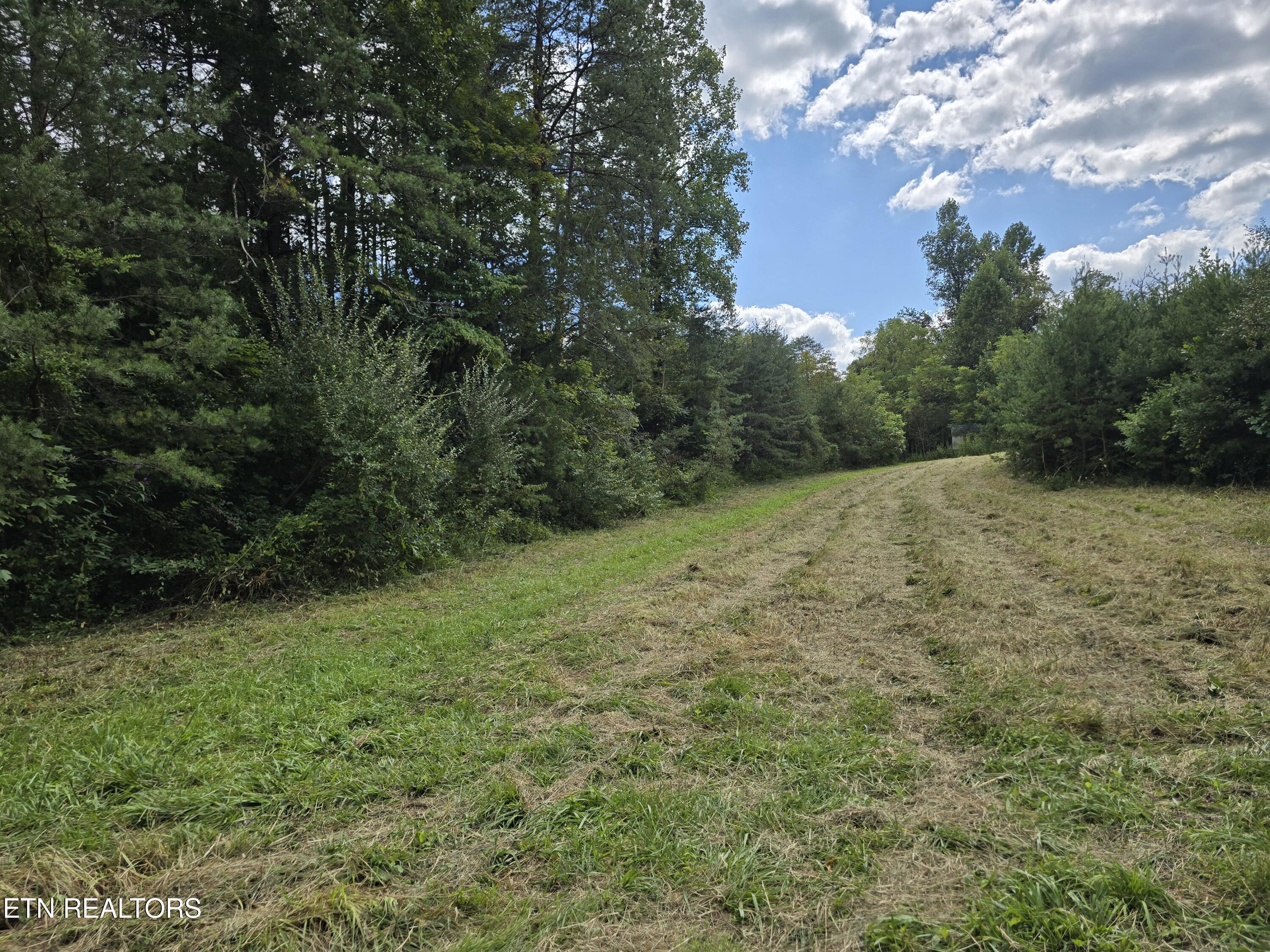 170 Parker Road Eidson TN 37731