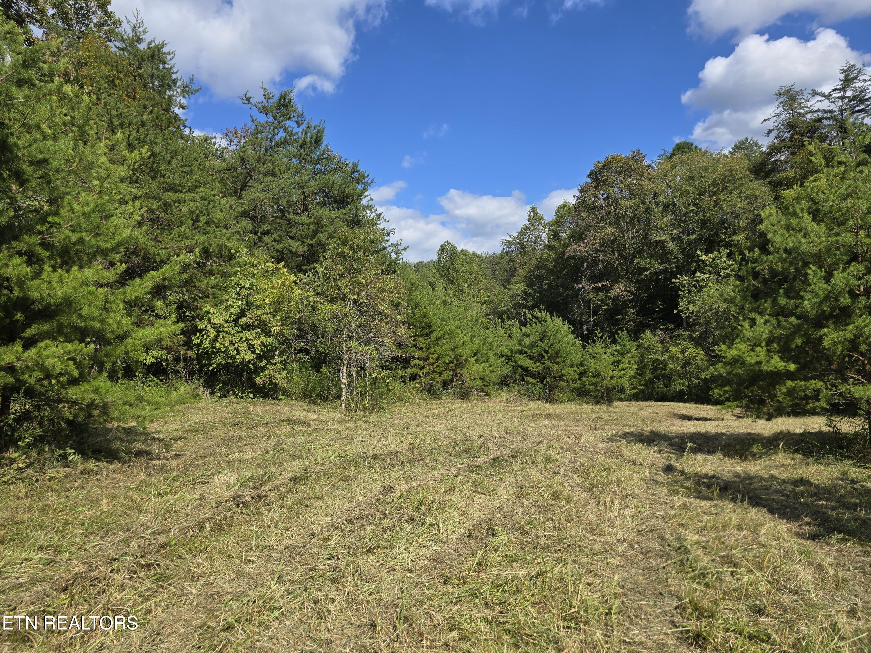 170 Parker Road Eidson TN 37731