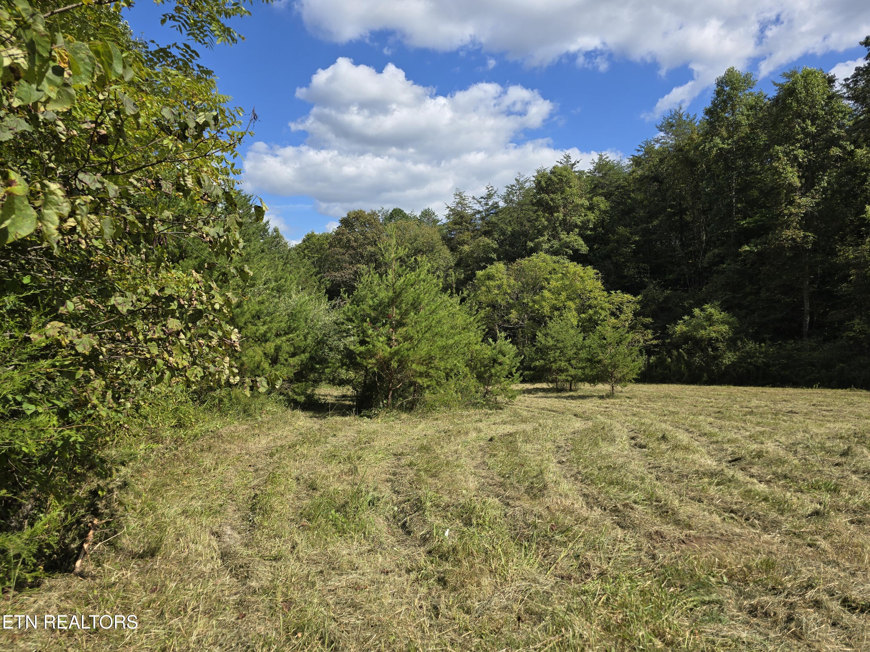 170 Parker Road Eidson TN 37731