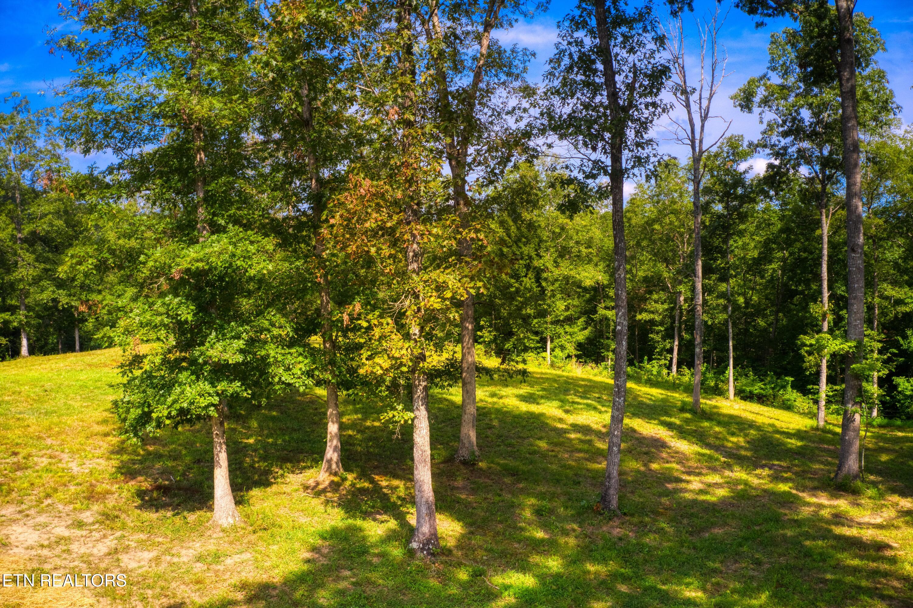 740 Rockview Road Jamestown TN 38556