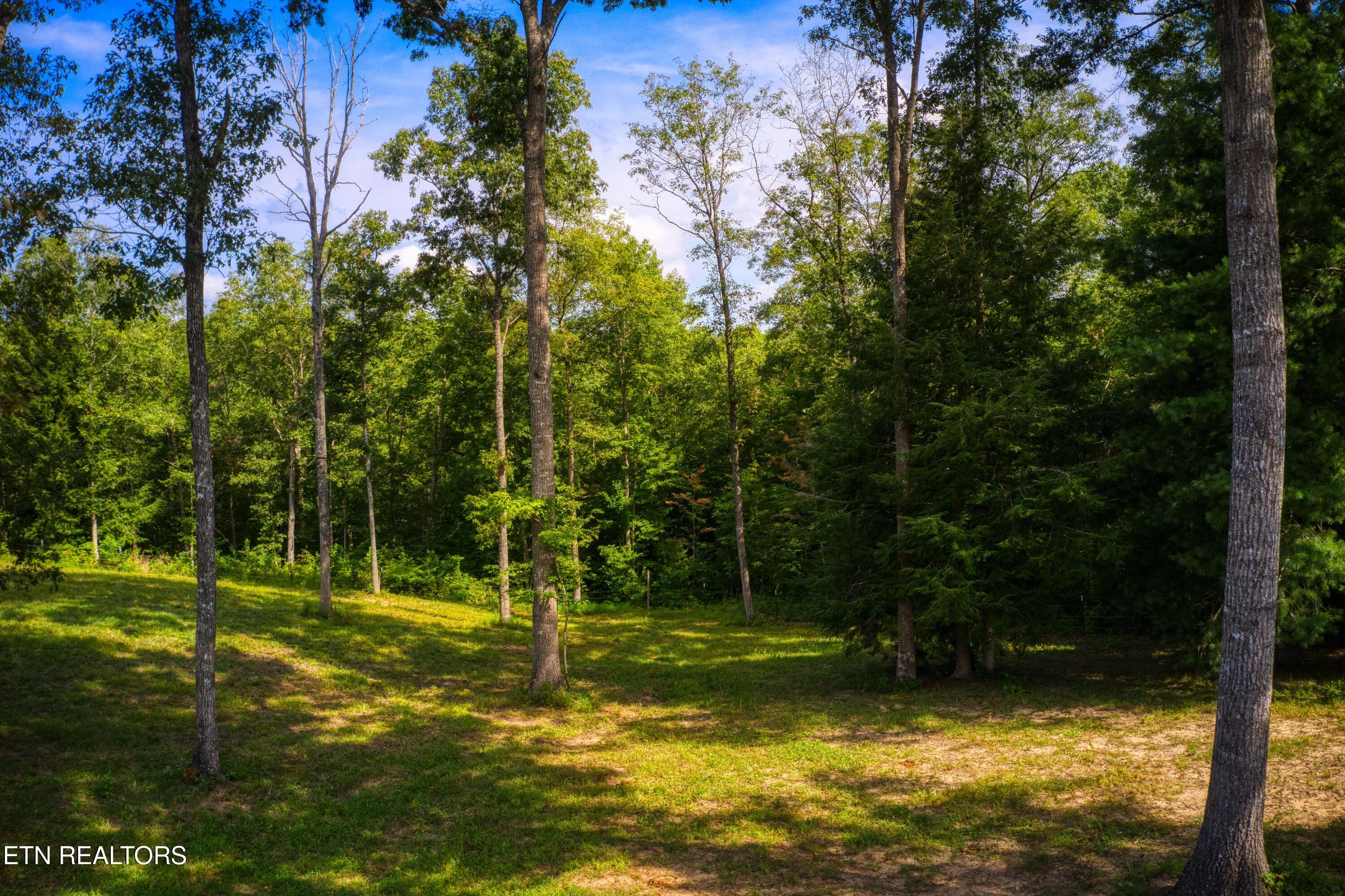 740 Rockview Road Jamestown TN 38556