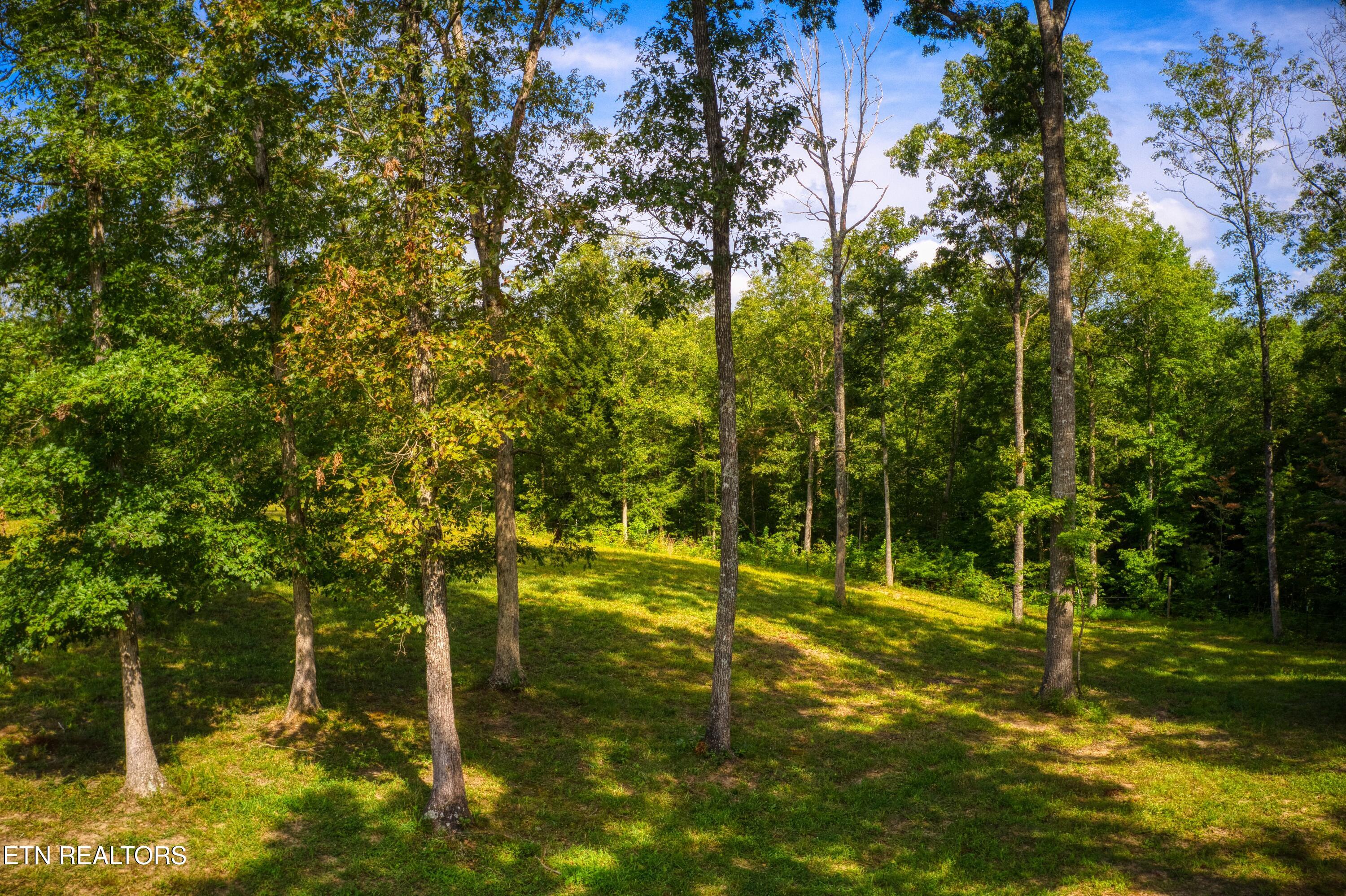 740 Rockview Road Jamestown TN 38556