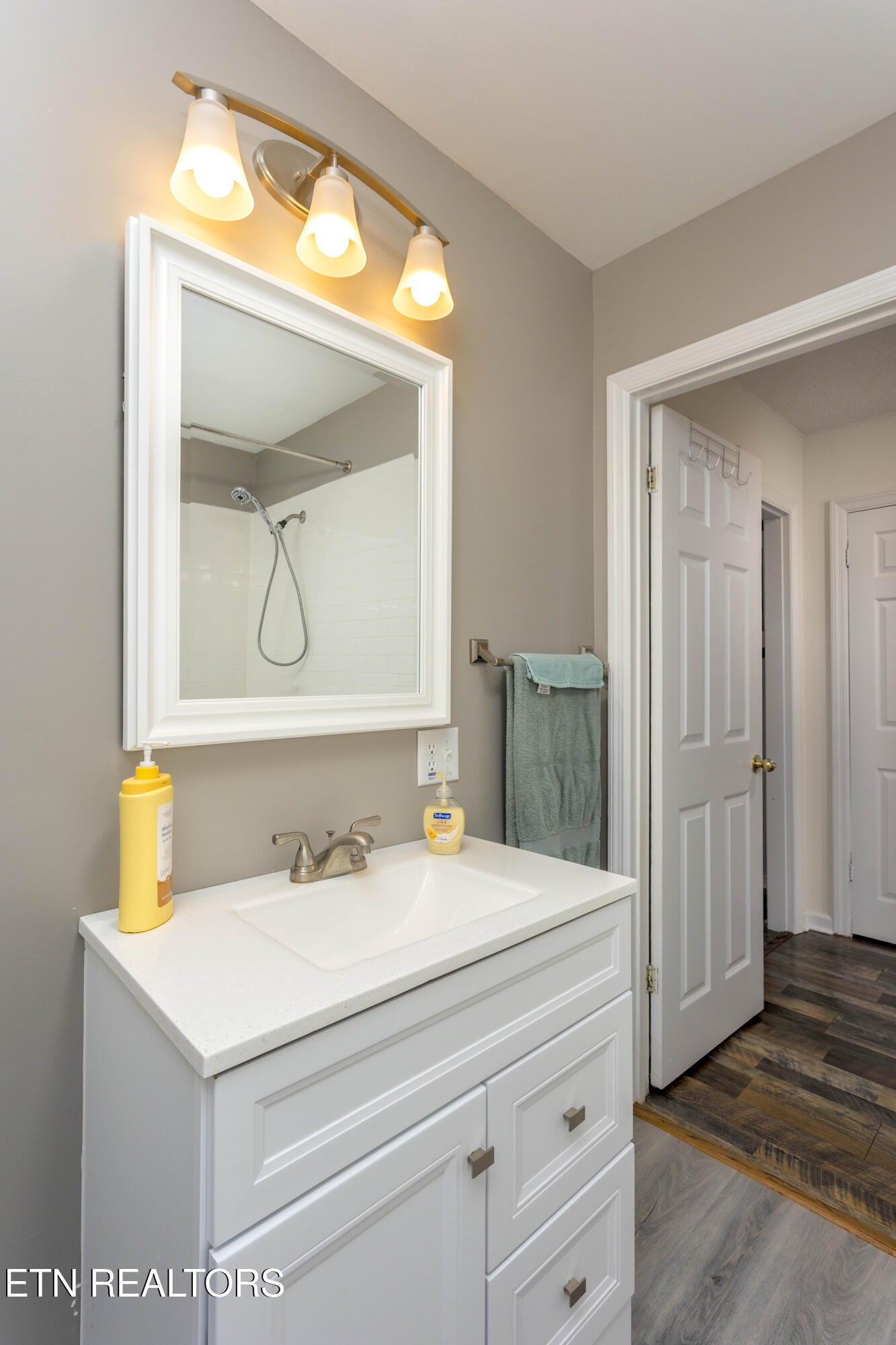 161 S Hillcrest Drive Spring City TN 37381