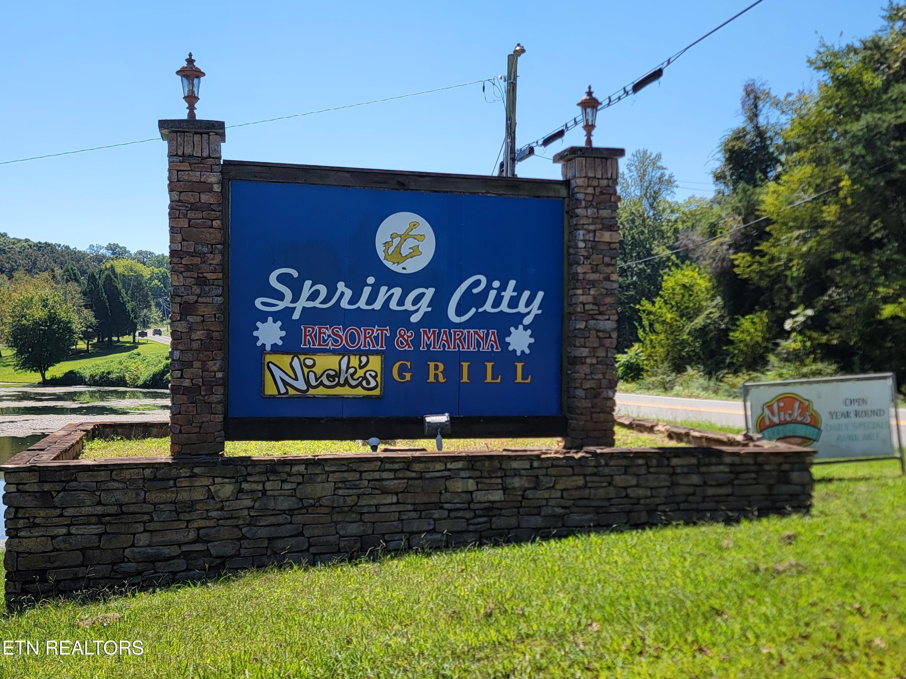 161 S Hillcrest Drive Spring City TN 37381
