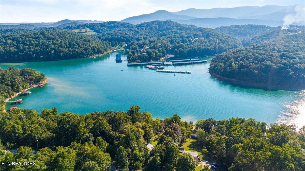 762 Hiwassee Drive Jacksboro TN 37757