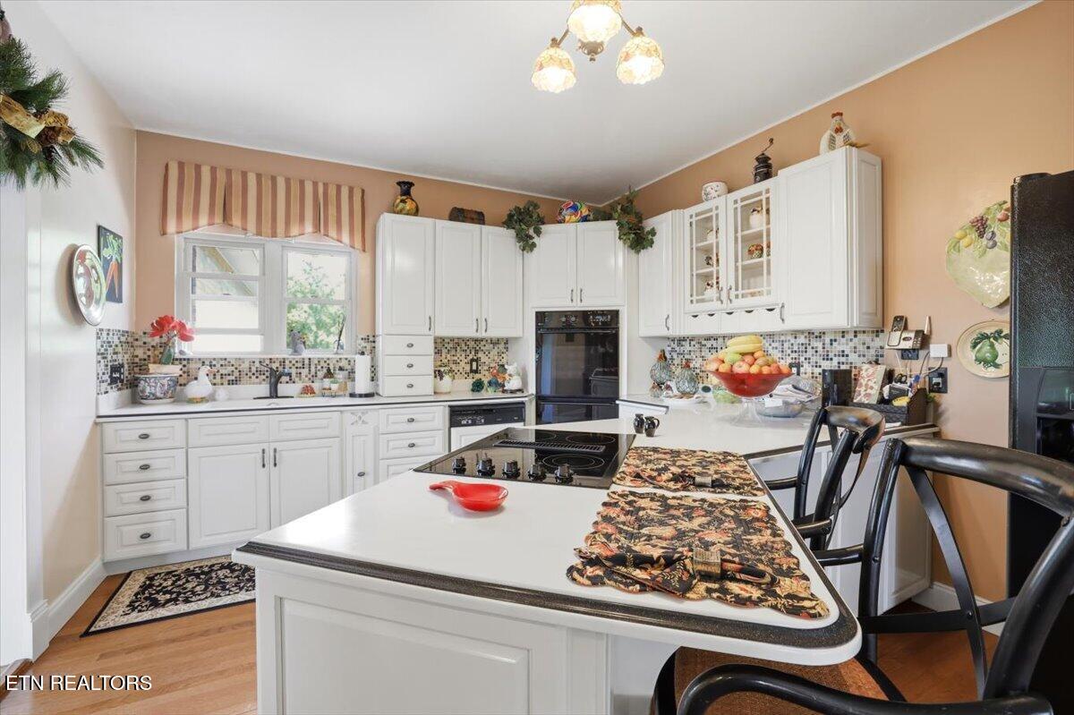 281 Rhonda Way Bean Station TN 37708
