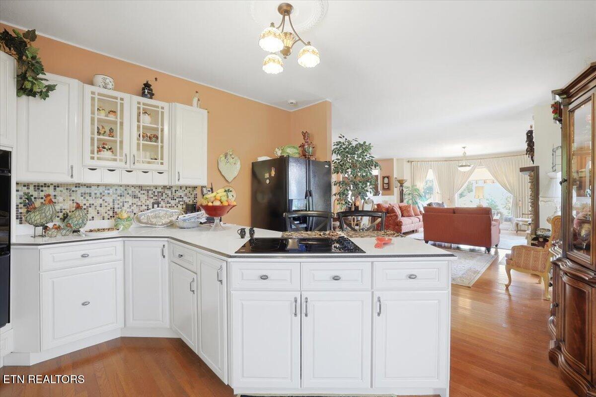 281 Rhonda Way Bean Station TN 37708