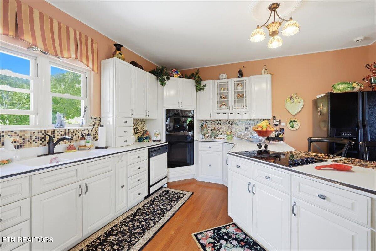281 Rhonda Way Bean Station TN 37708