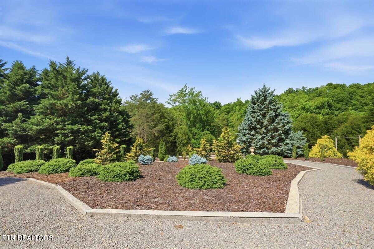 281 Rhonda Way Bean Station TN 37708