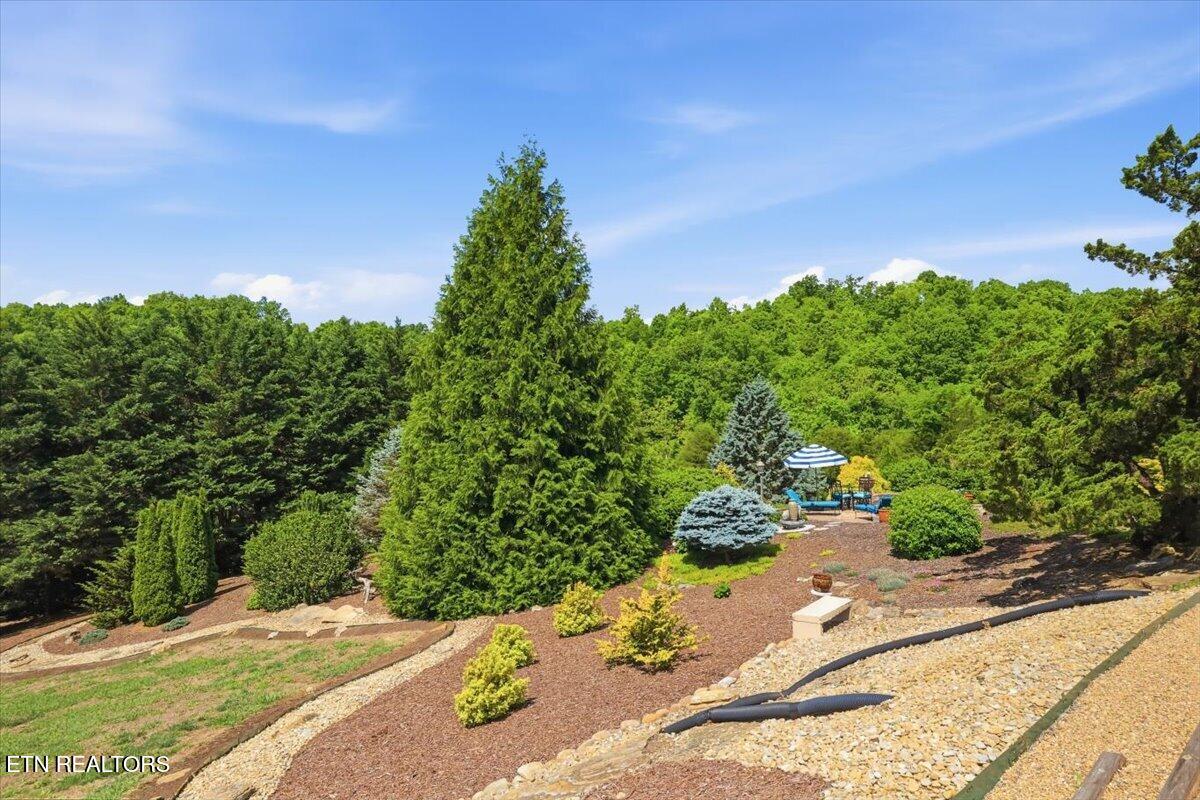 281 Rhonda Way Bean Station TN 37708